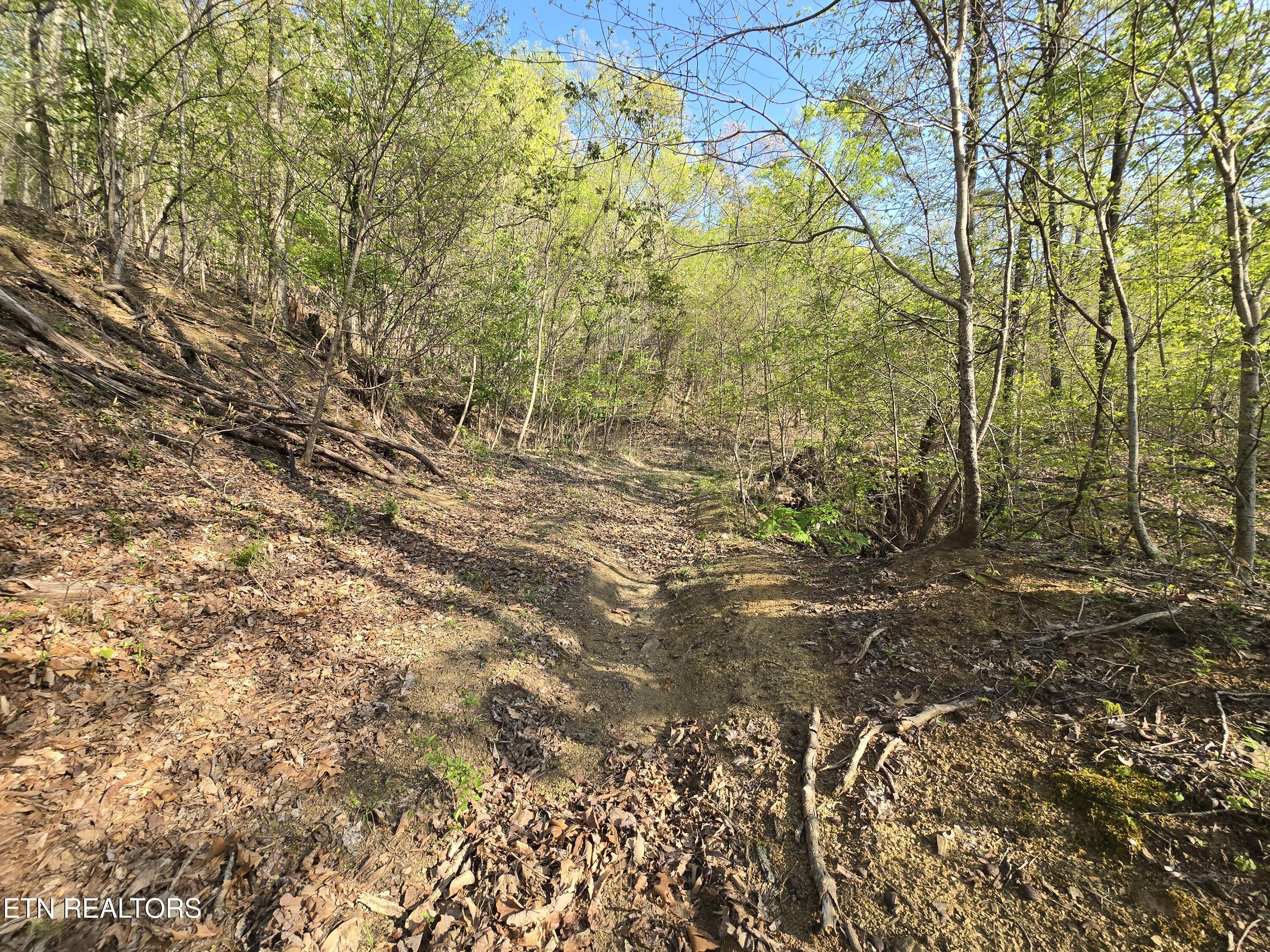 Tr-4 Boatmans Mountain-25.54ac Property Photo 30