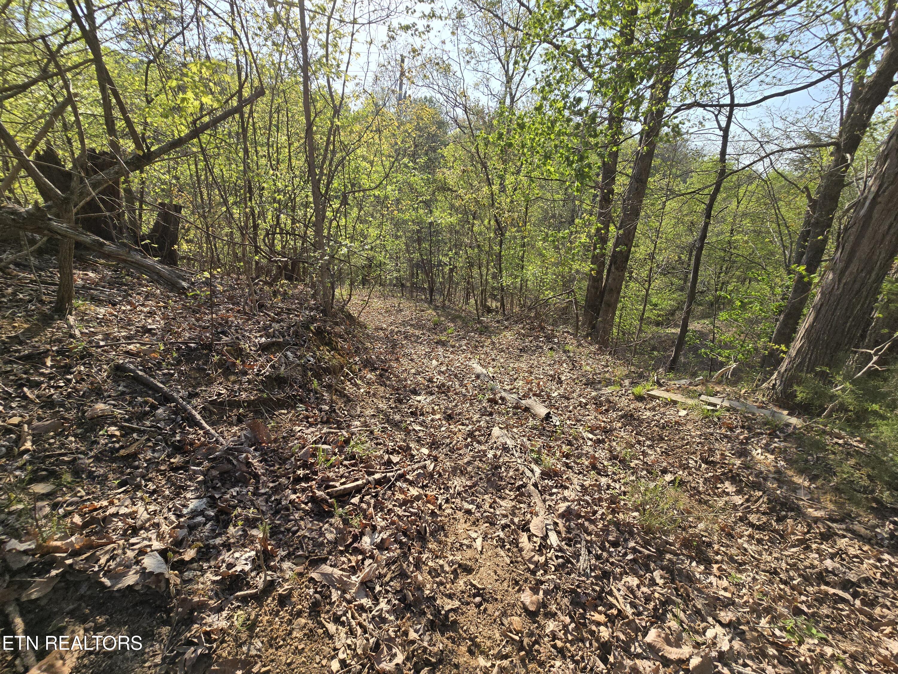Tr-4 Boatmans Mountain-25.54ac Property Photo 32