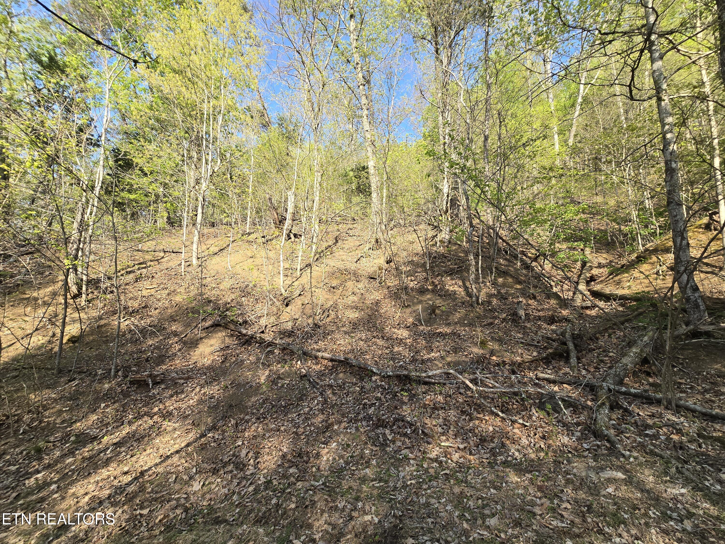 Tr-4 Boatmans Mountain-25.54ac Property Photo 34
