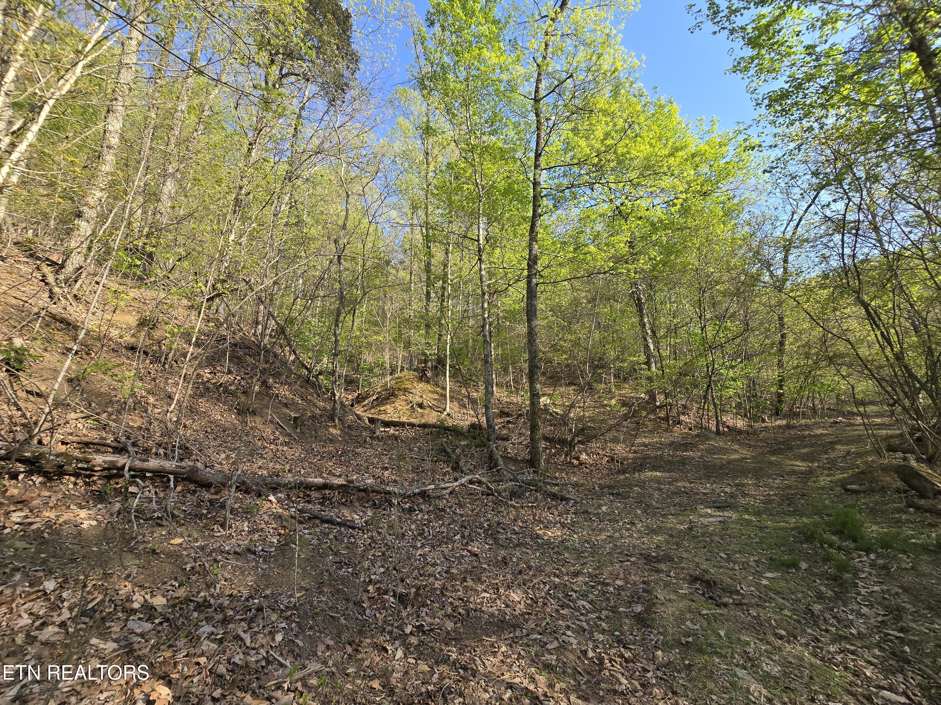 Tr-4 Boatmans Mountain-25.54ac Property Photo 35