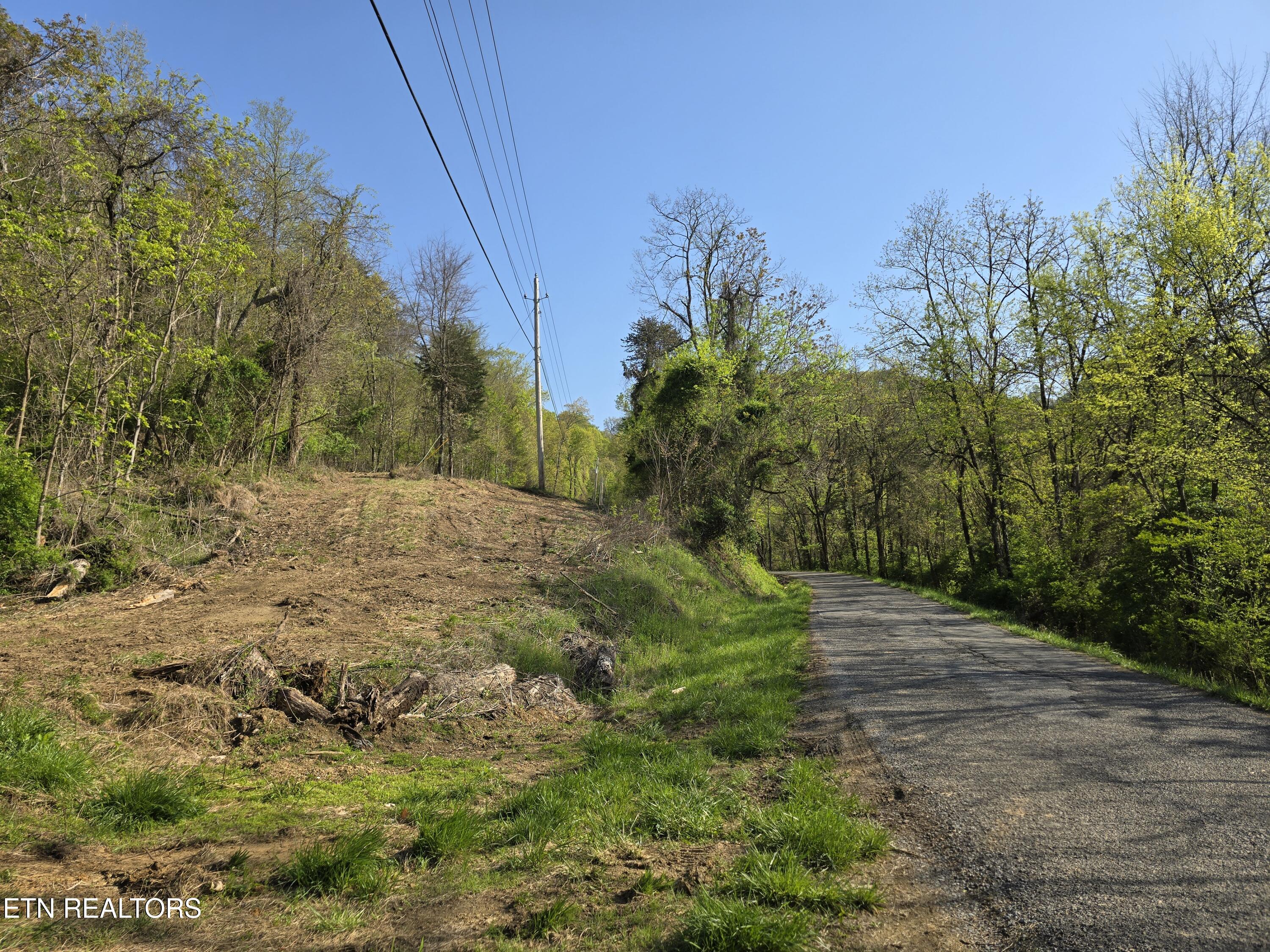 Tr-4 Boatmans Mountain-25.54ac Property Photo 37