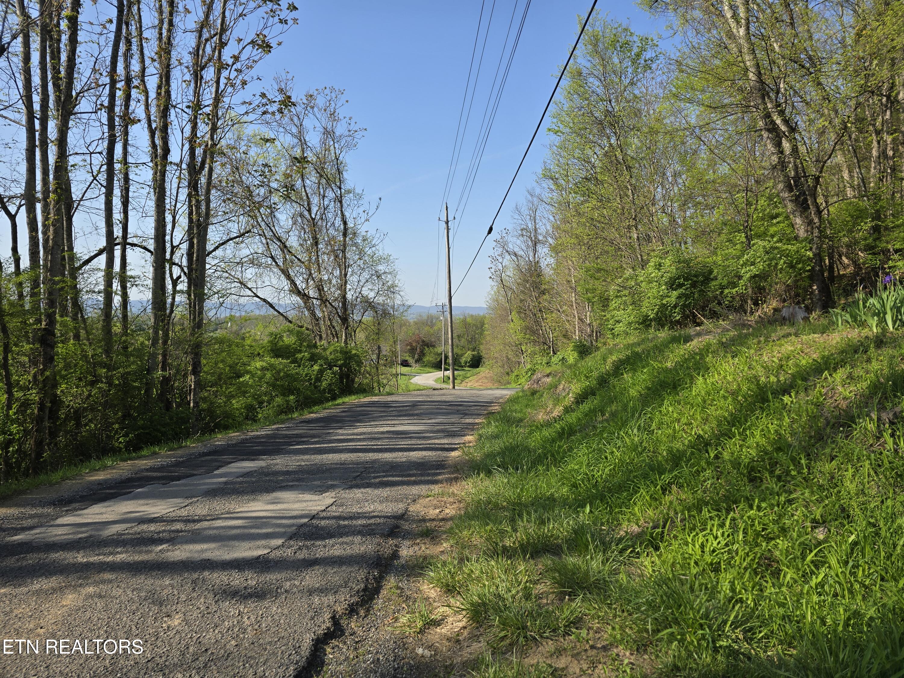 Tr-4 Boatmans Mountain-25.54ac Property Photo 38