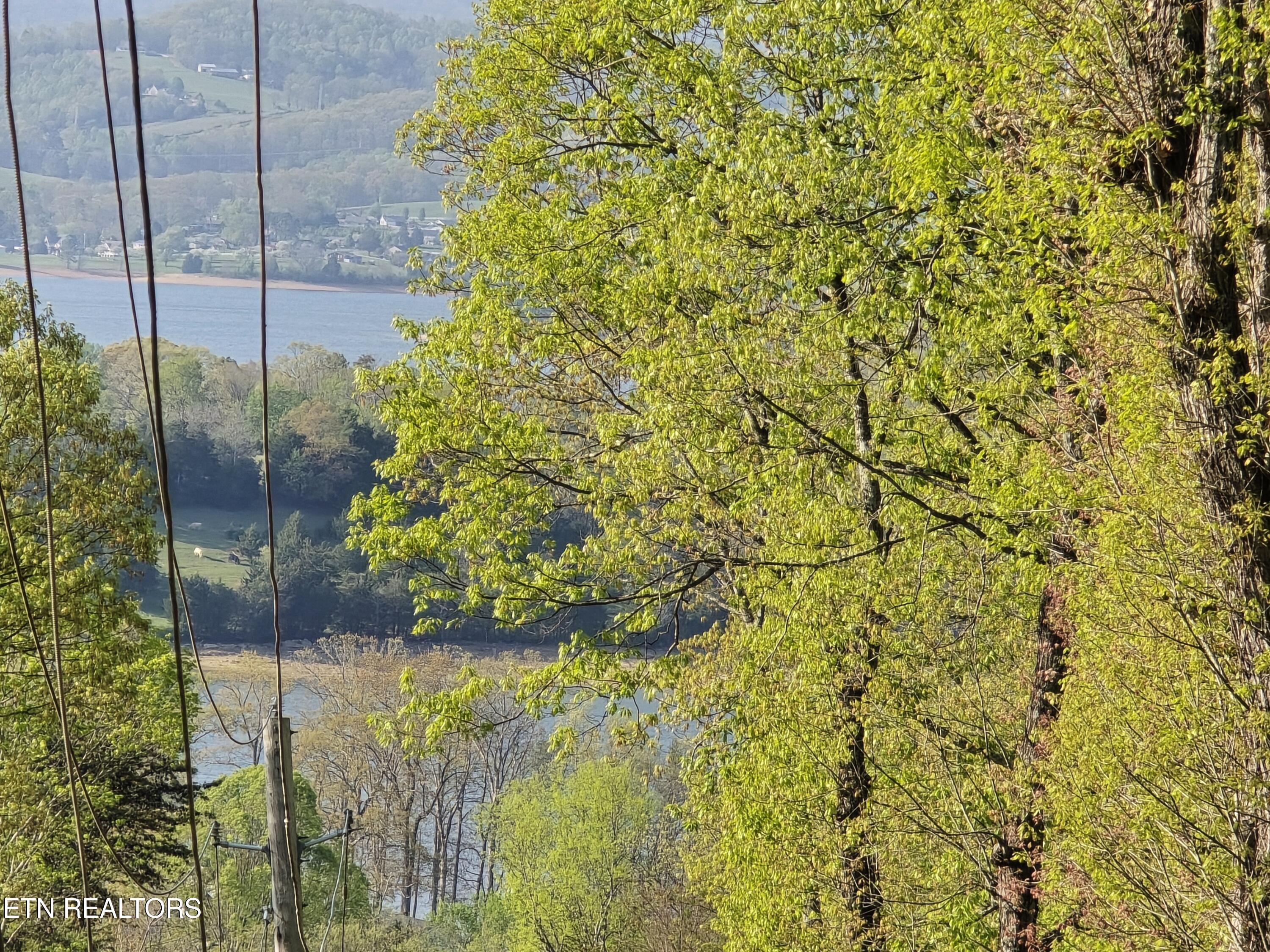 Tr-4 Boatmans Mountain-25.54ac Property Photo 42