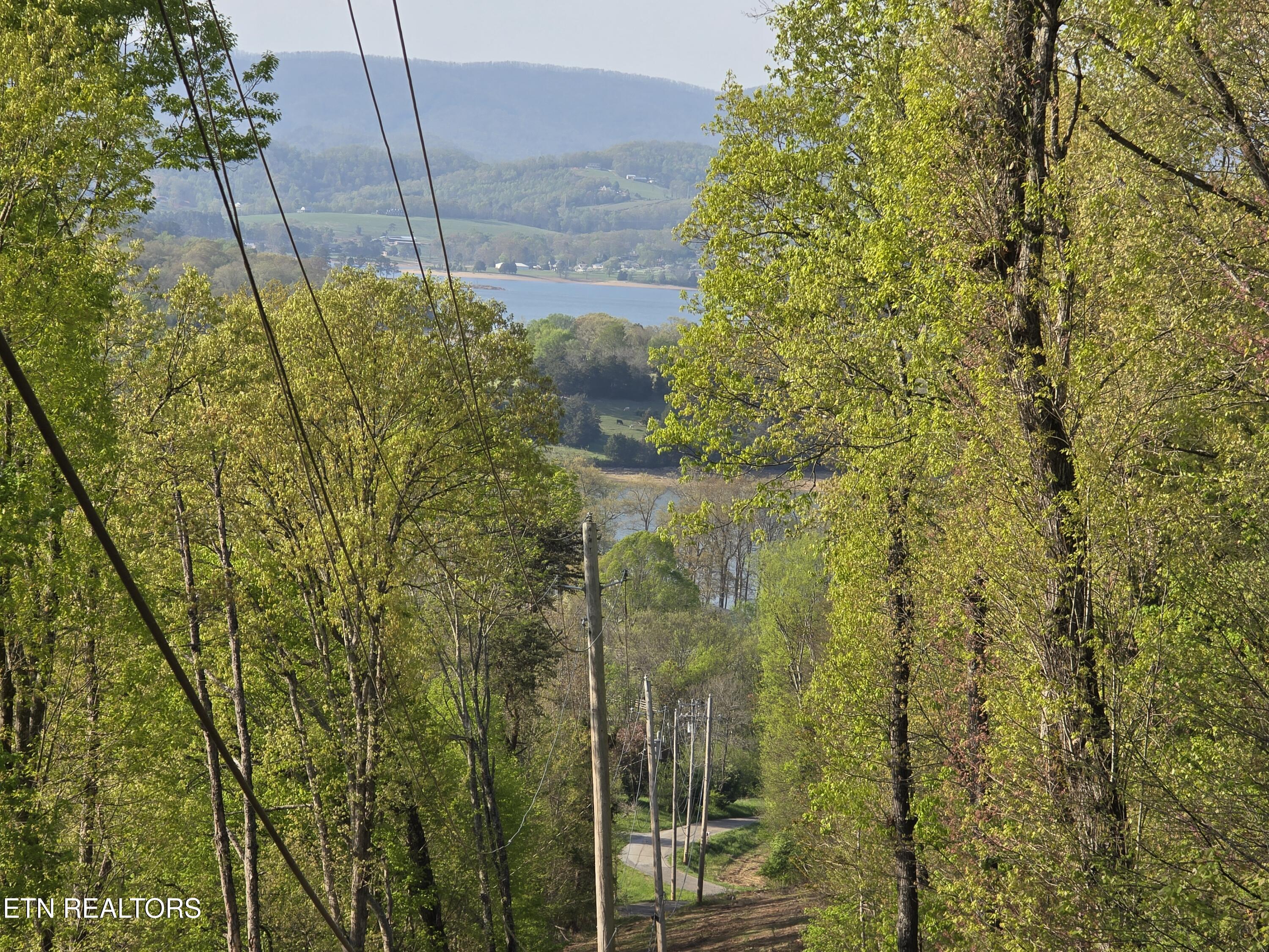 Tr-4 Boatmans Mountain-25.54ac Property Photo 43