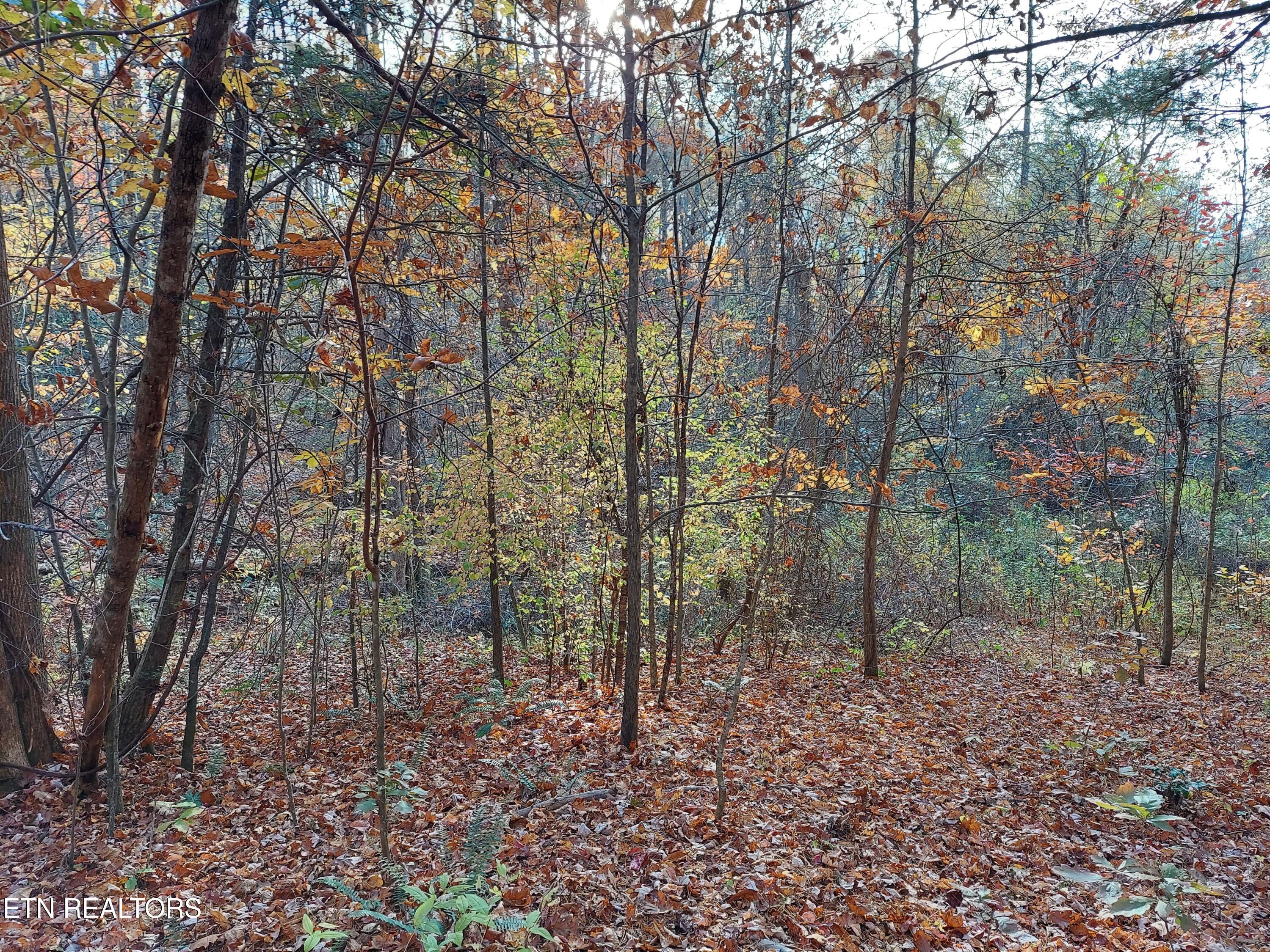 1.76 Acres Sugar Maple Way Property Photo 2