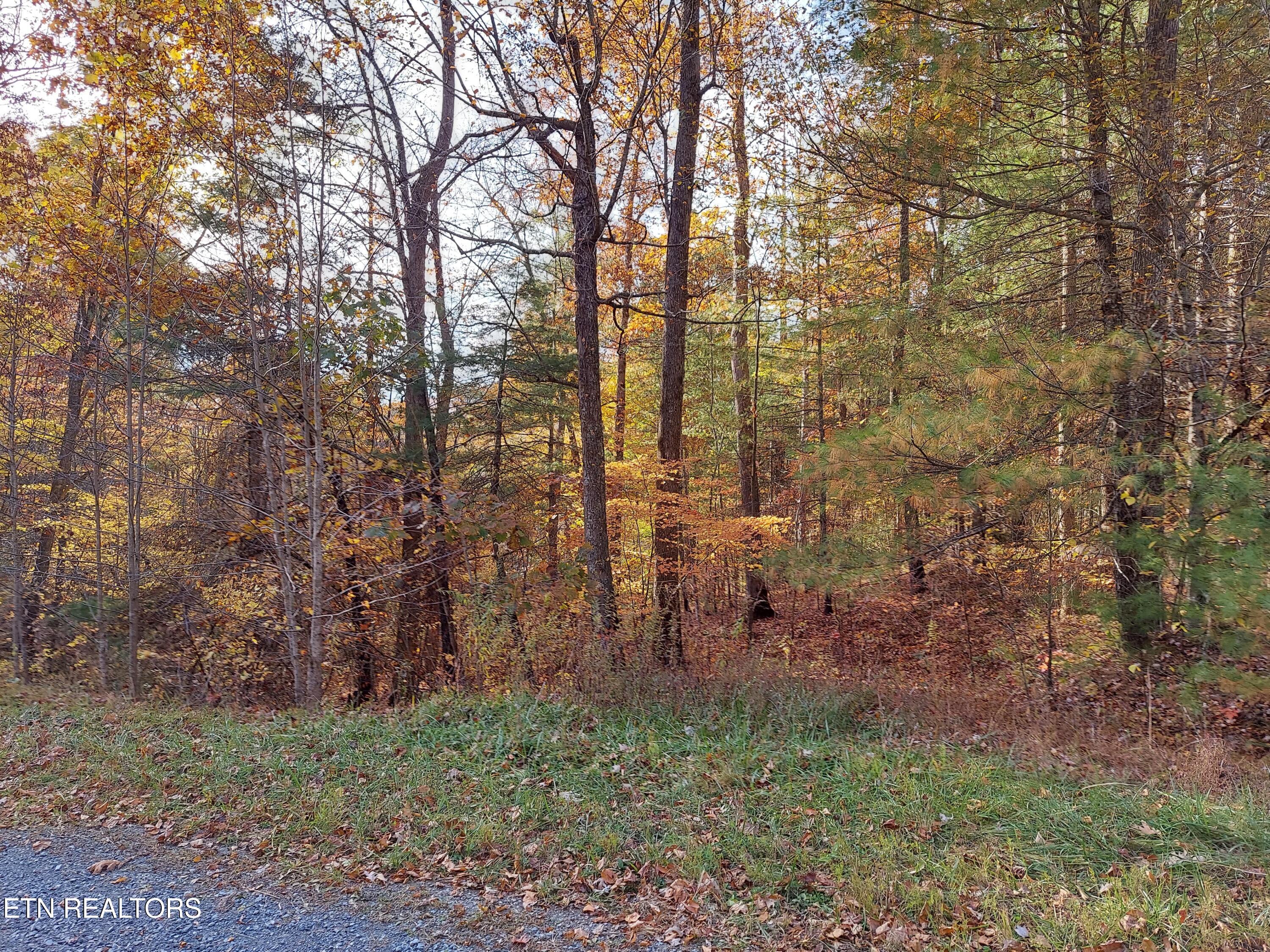 1.76 Acres Sugar Maple Way Property Photo 3