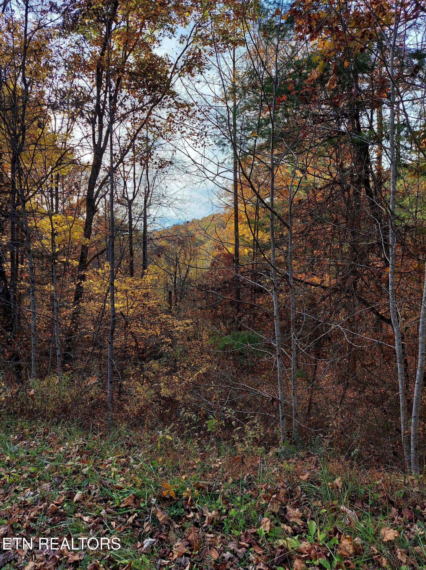 1.76 Acres Sugar Maple Way Property Photo 4