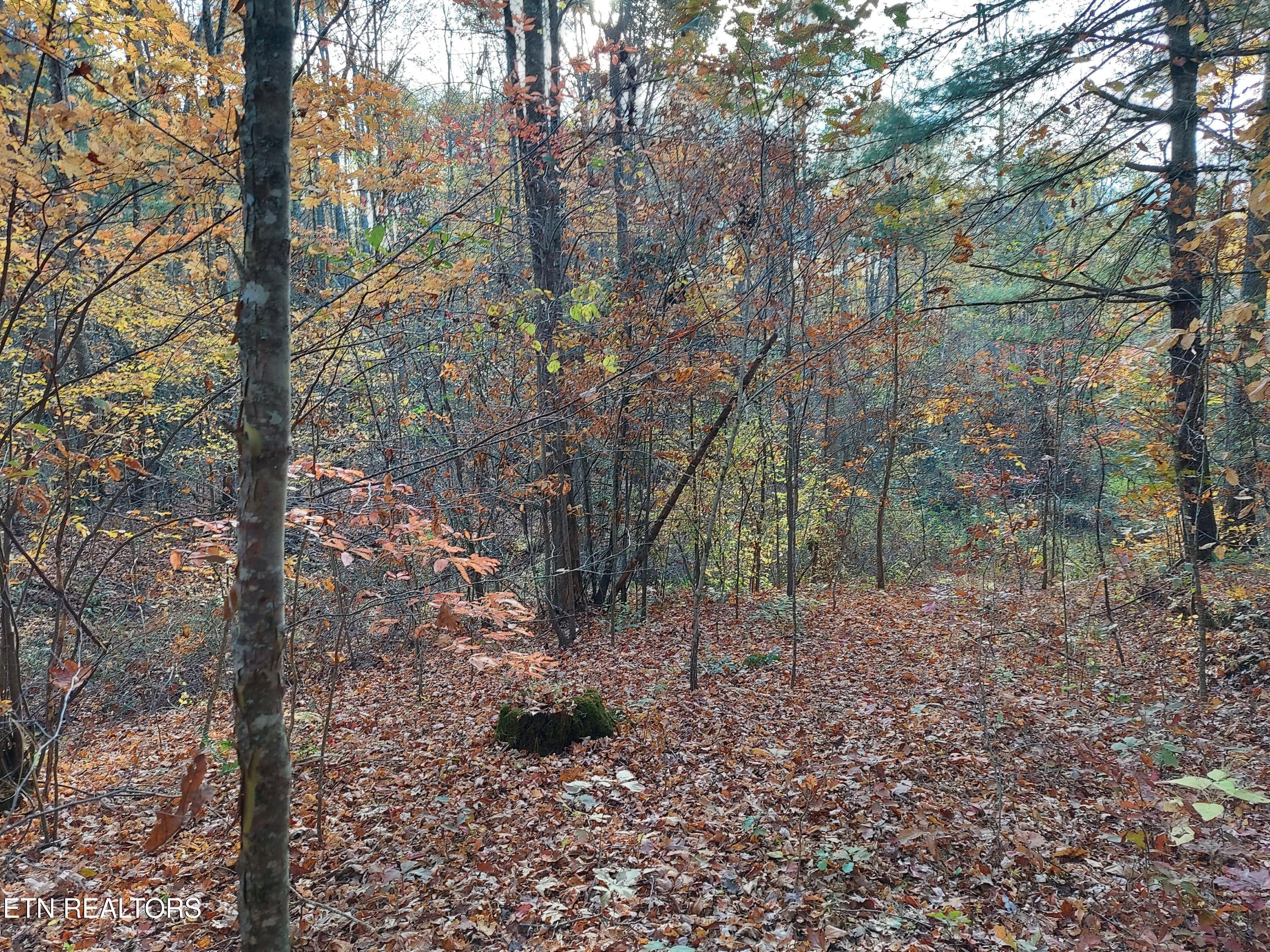 1.76 Acres Sugar Maple Way Property Photo 5