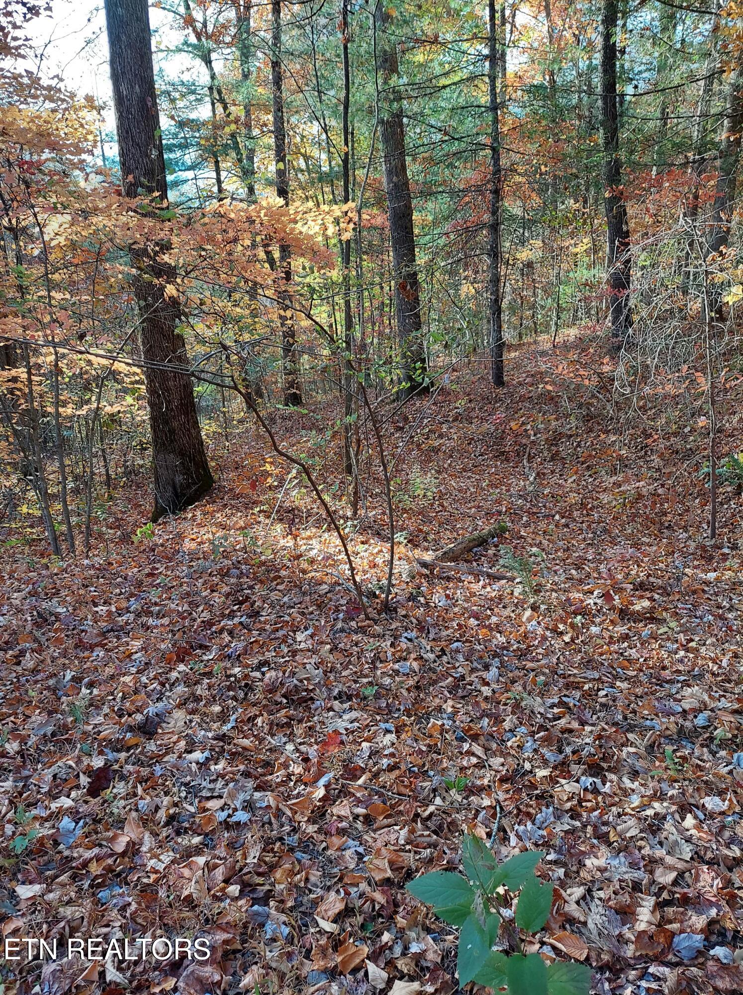 1.76 Acres Sugar Maple Way Property Photo 7