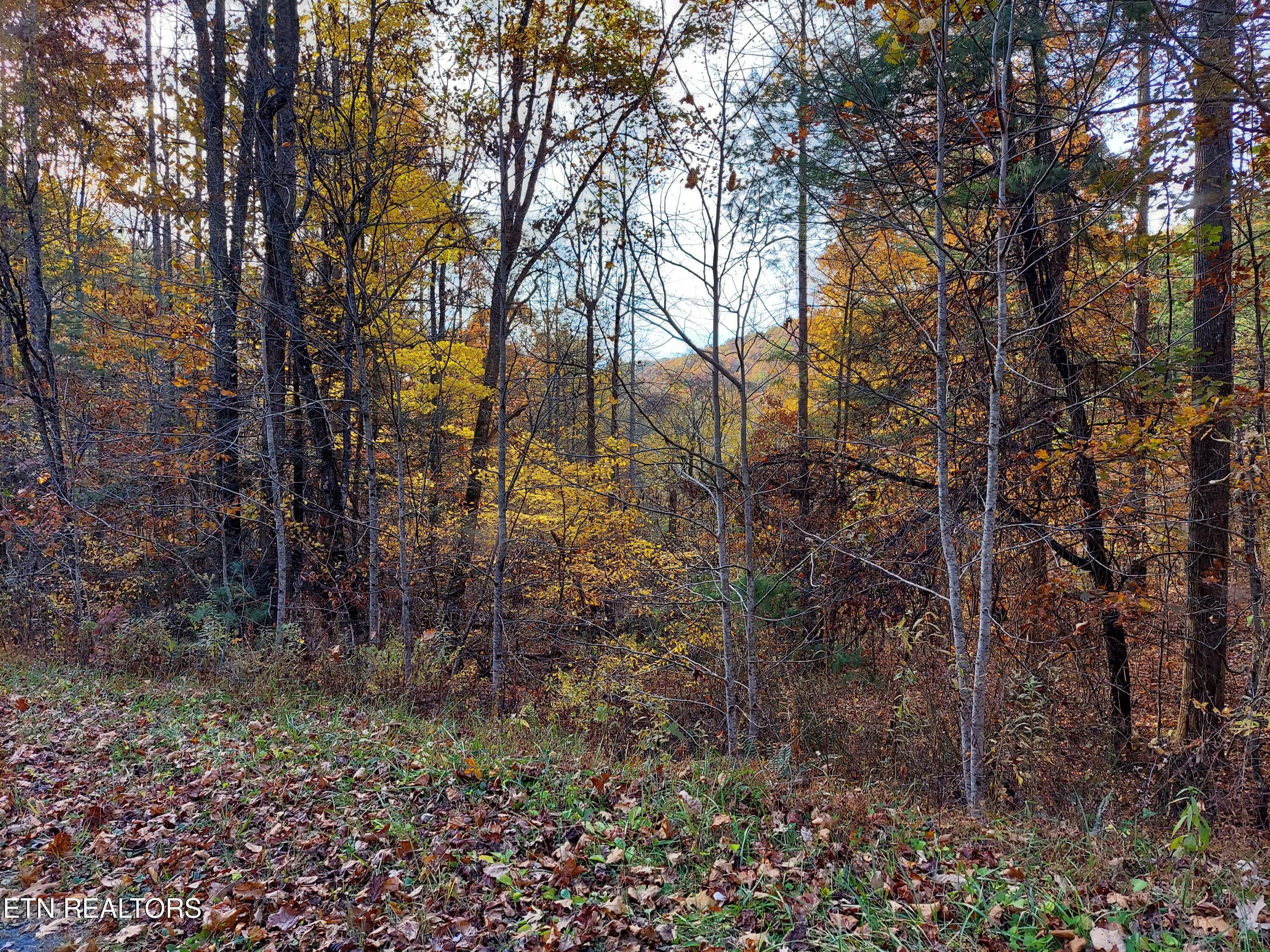 1.76 Acres Sugar Maple Way Property Photo 8