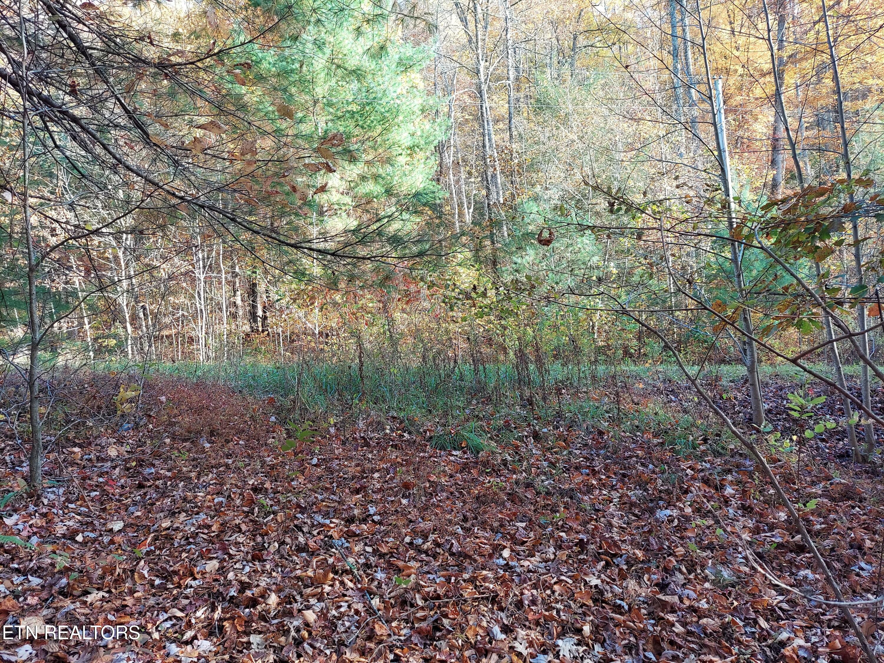 1.76 Acres Sugar Maple Way Property Photo 9