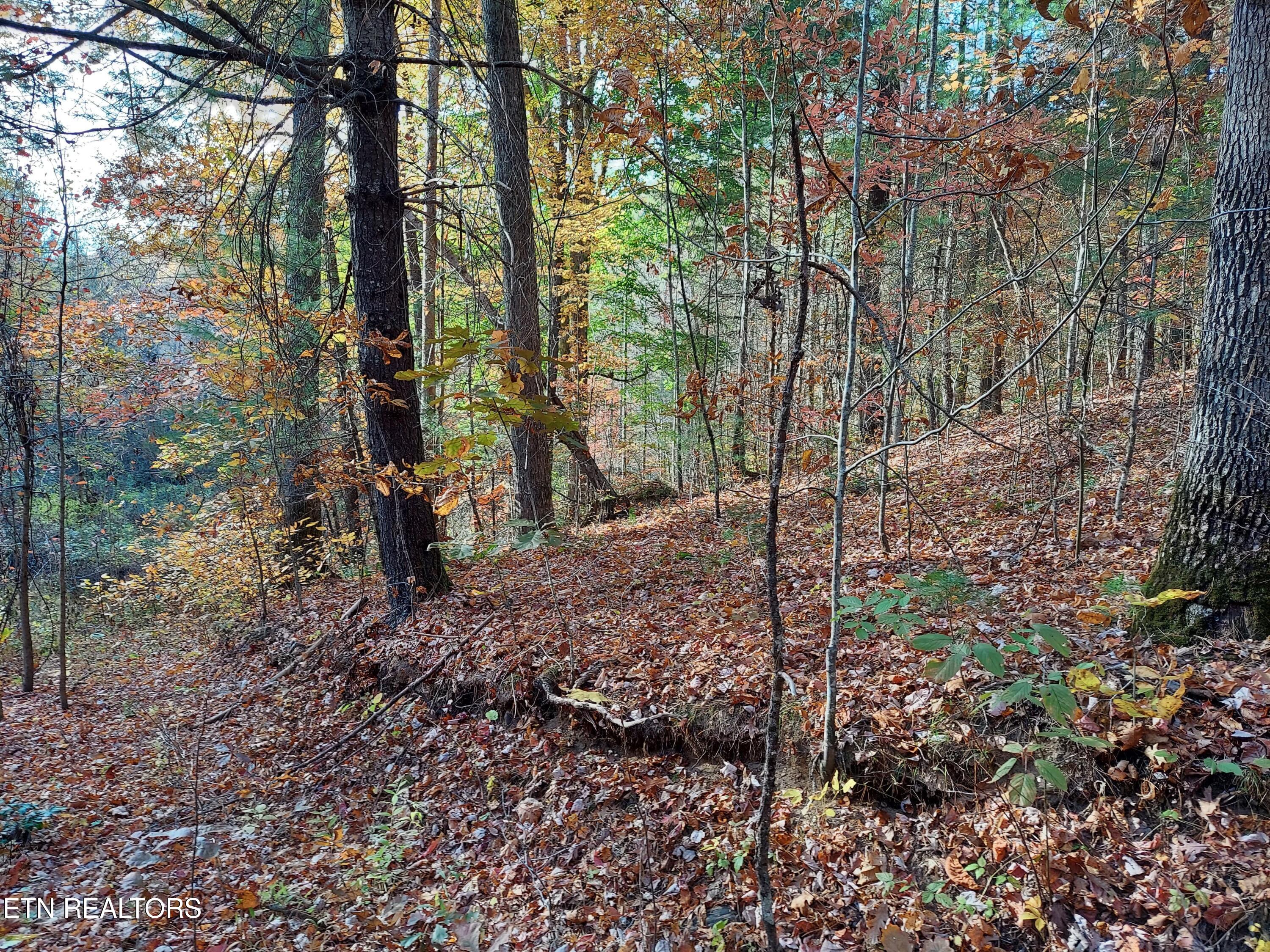 1.76 Acres Sugar Maple Way Property Photo 10