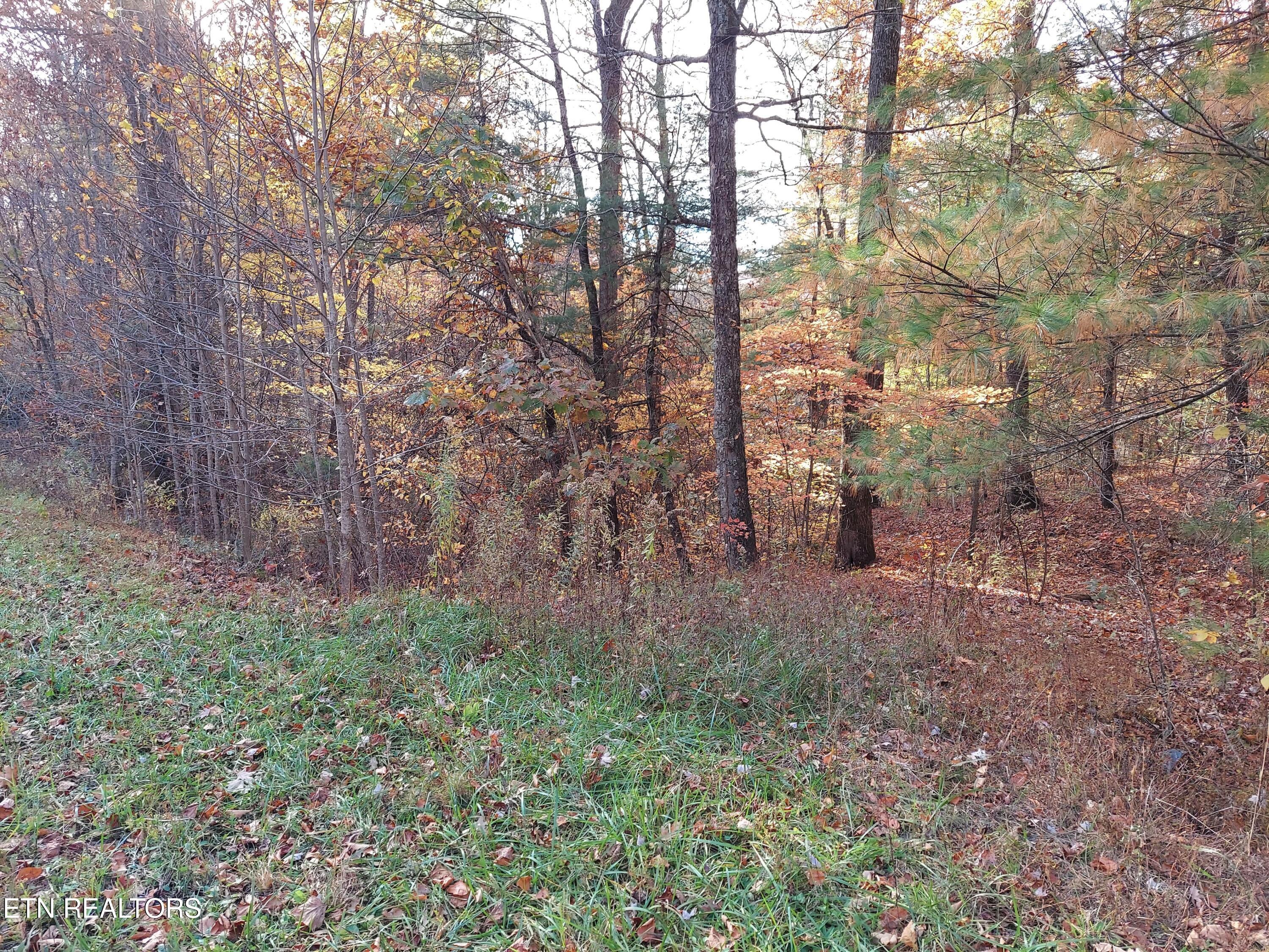 1.76 Acres Sugar Maple Way Property Photo 11