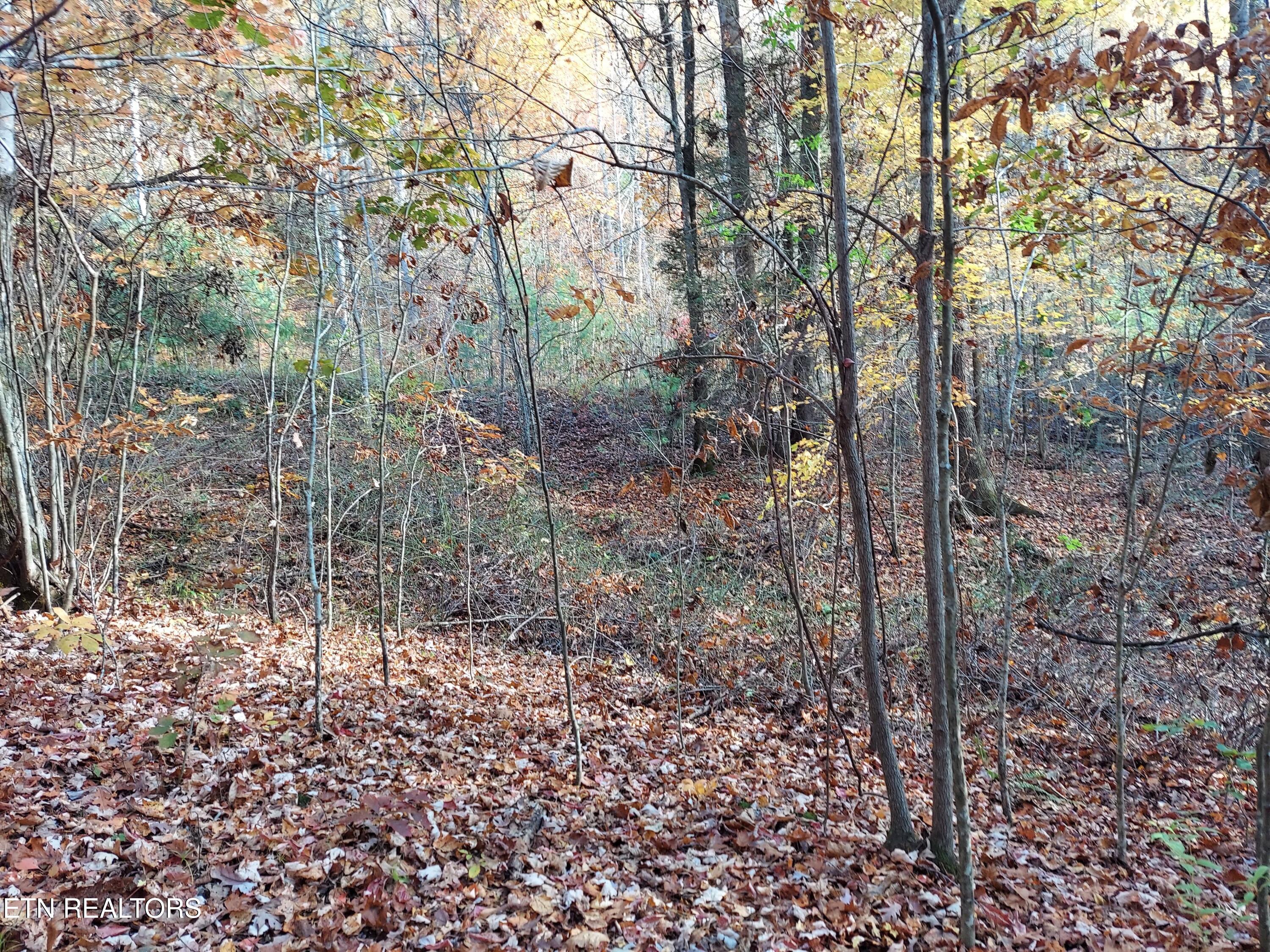 1.76 Acres Sugar Maple Way Property Photo 13