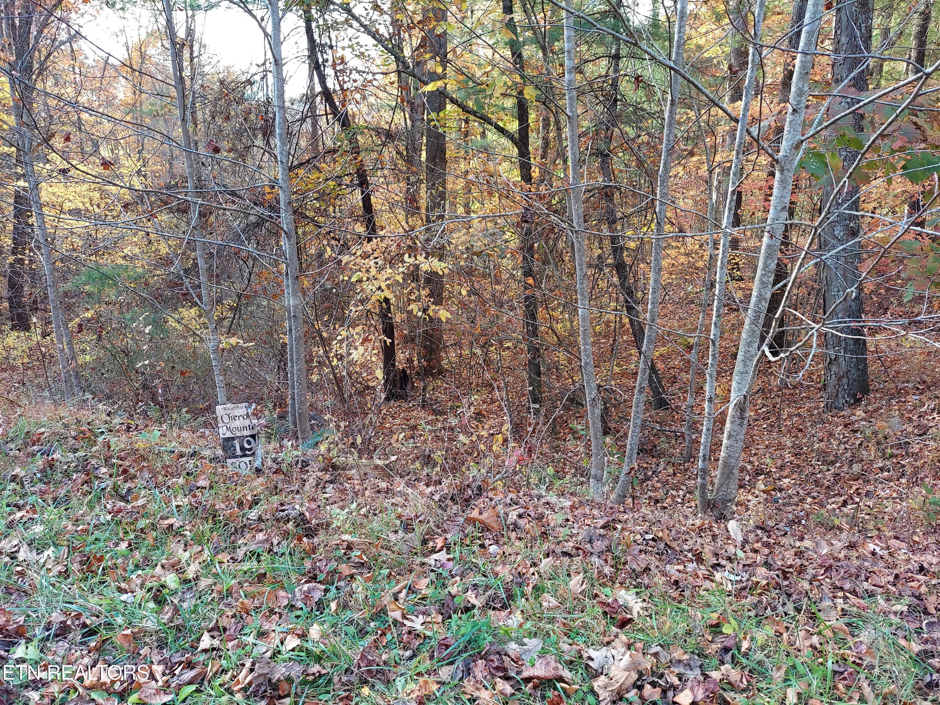 1.76 Acres Sugar Maple Way Property Photo 14