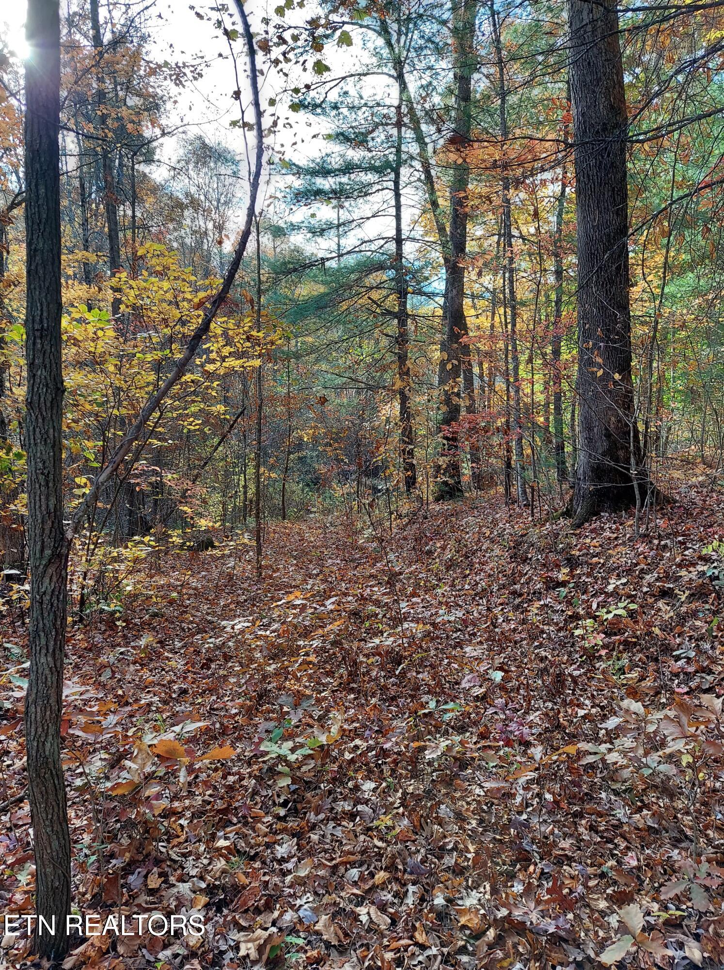 1.76 Acres Sugar Maple Way Property Photo 15