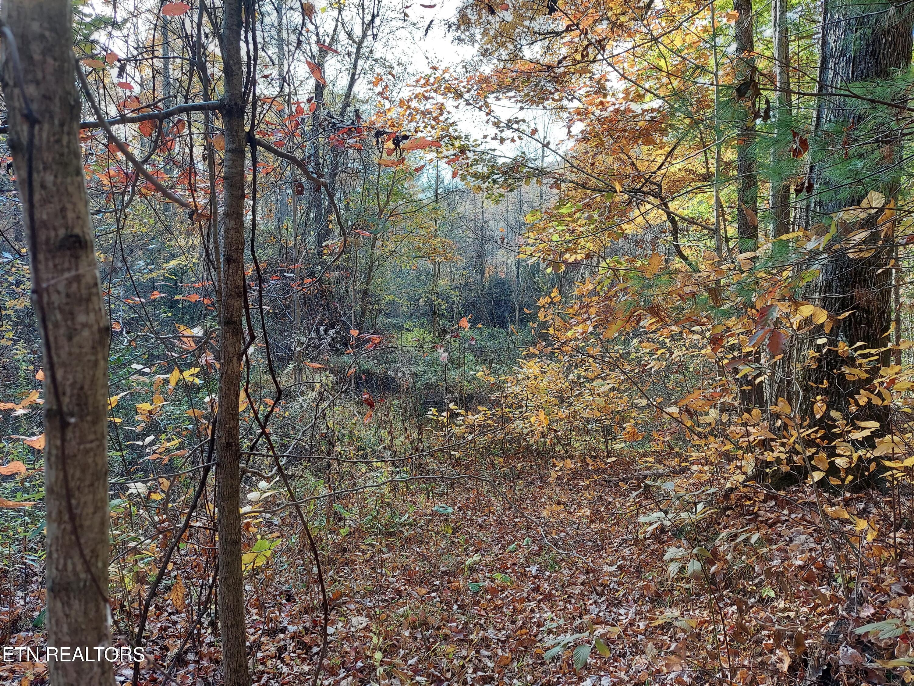 1.76 Acres Sugar Maple Way Property Photo 16