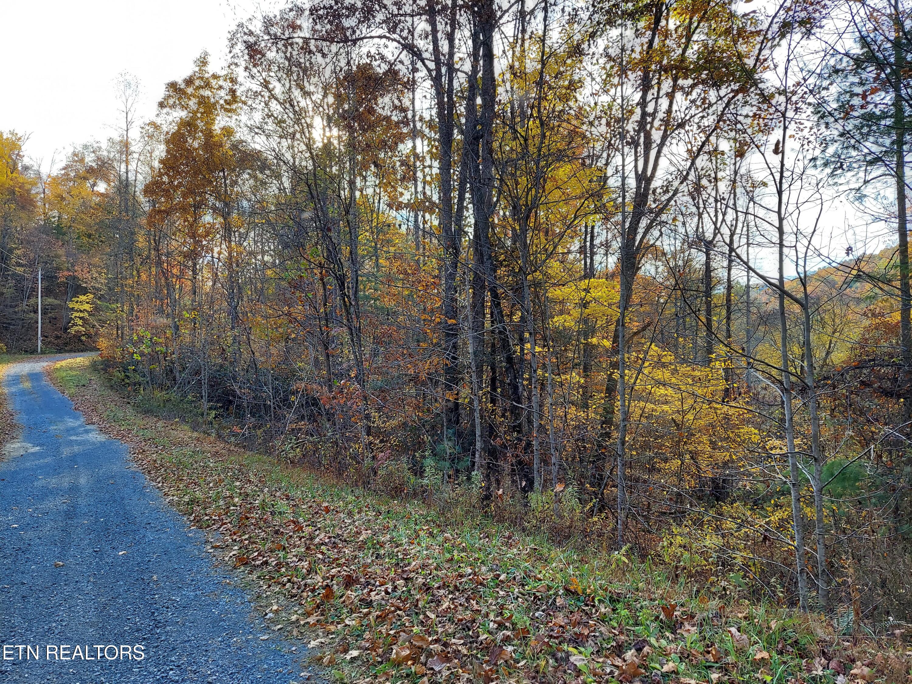 1.76 Acres Sugar Maple Way Property Photo 17