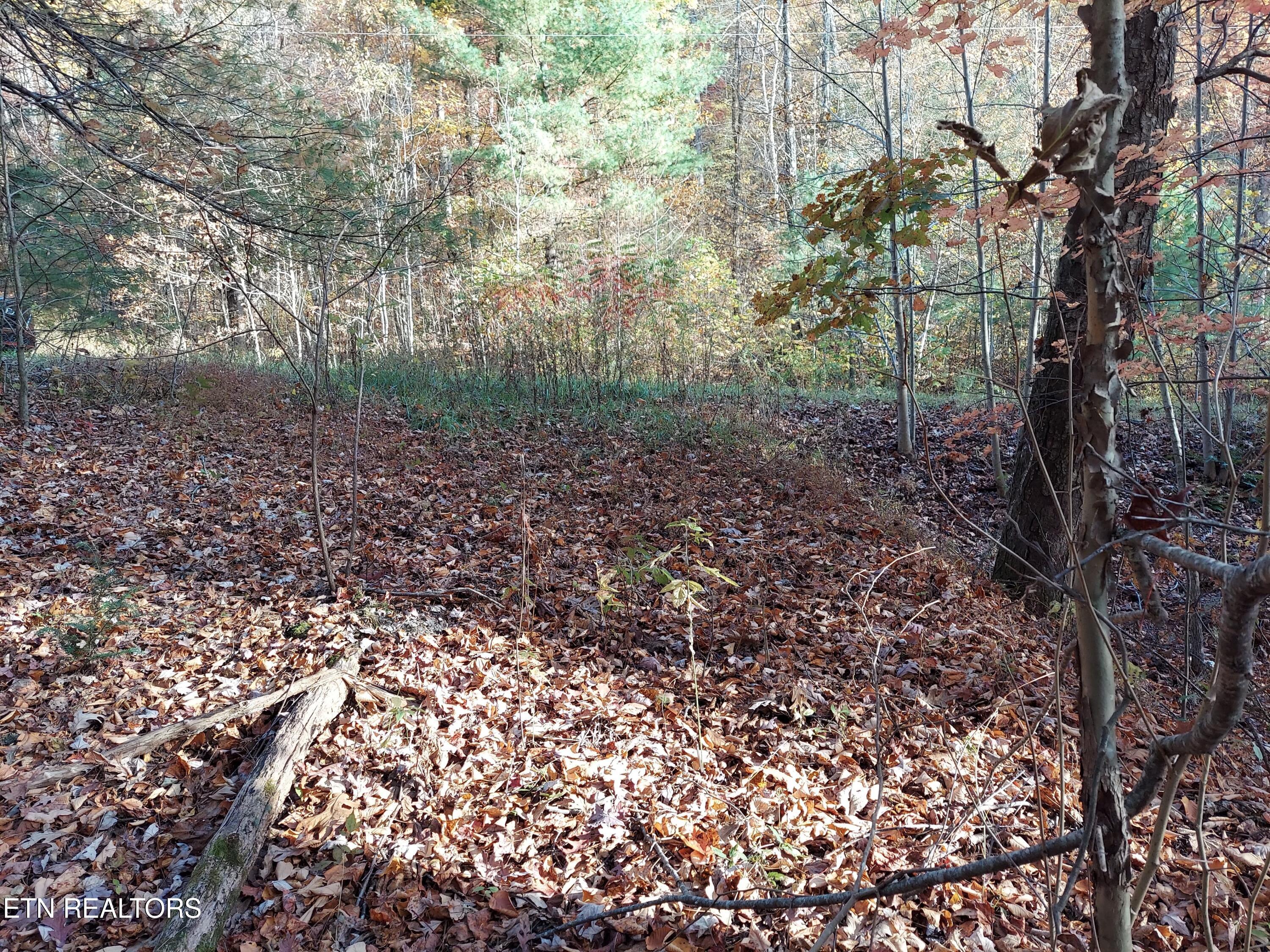 1.76 Acres Sugar Maple Way Property Photo 18