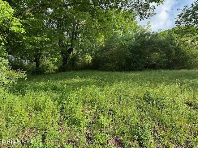 1101 Fowler Grove Rd Property Photo 11