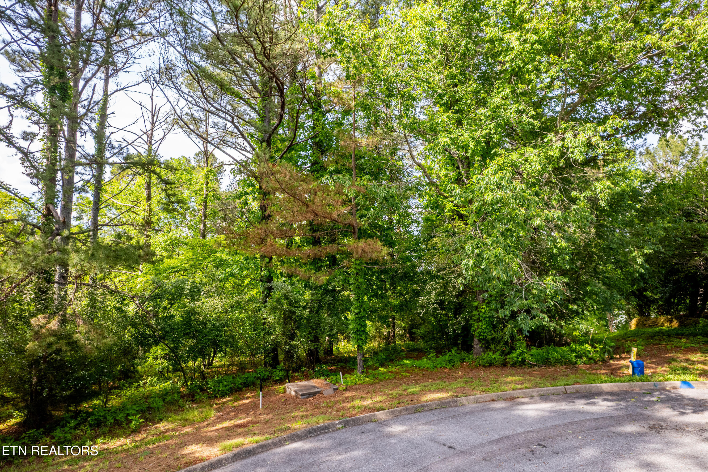 120 Wax Wing Drive Property Photo 6
