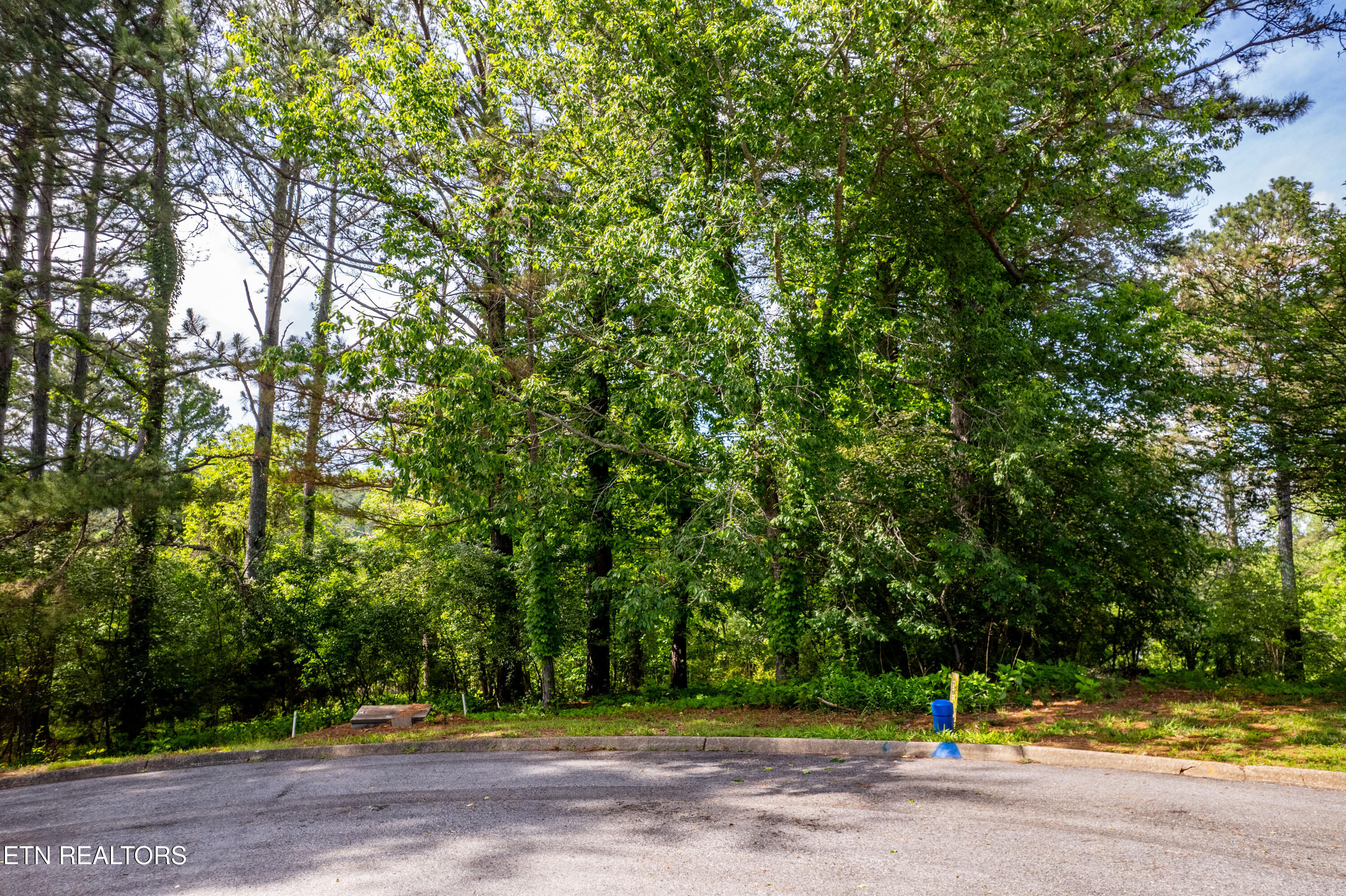 120 Wax Wing Drive Property Photo 7