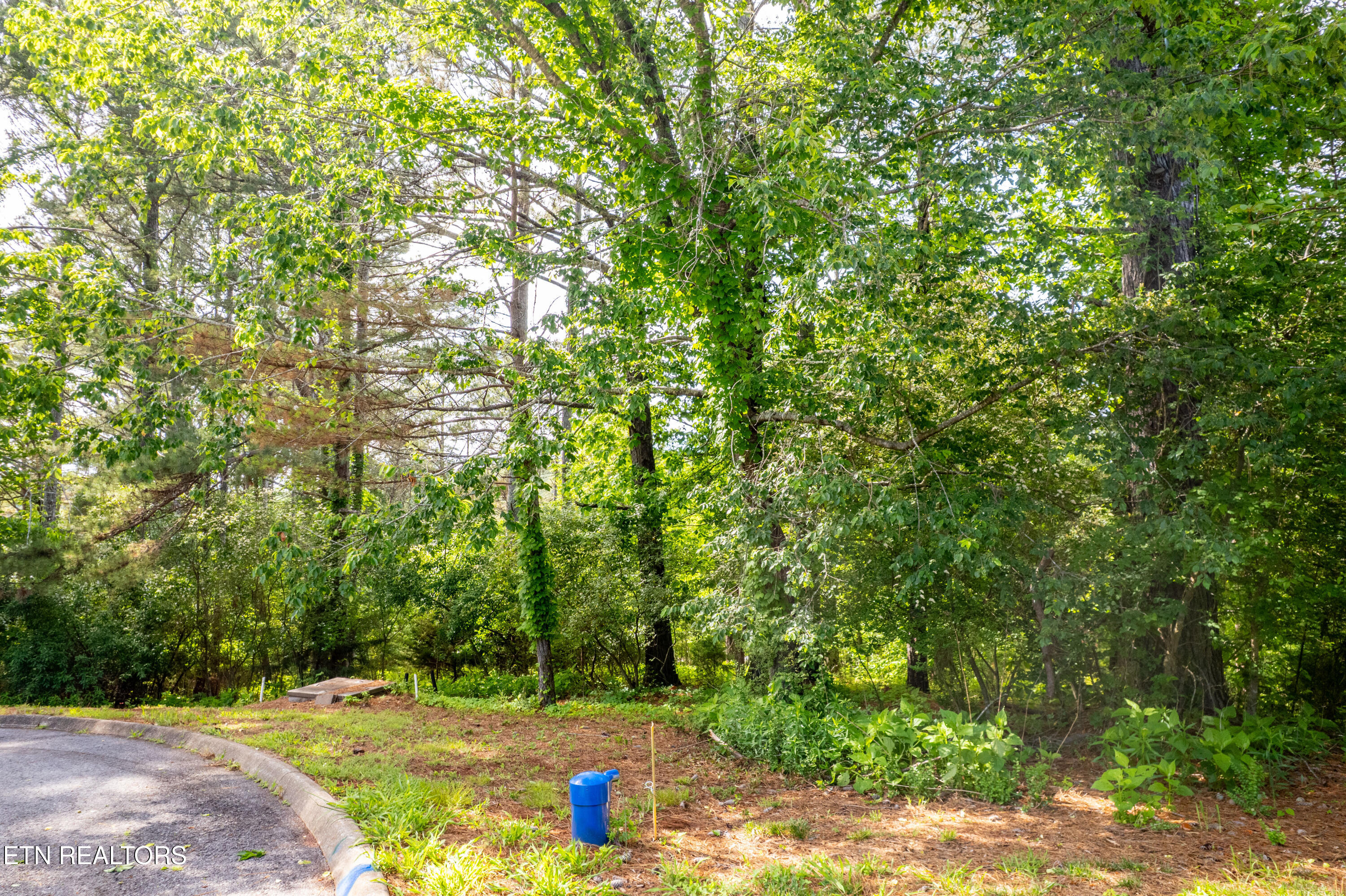 120 Wax Wing Drive Property Photo 8
