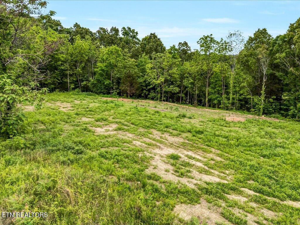 0 Ostrich Lane Property Photo 1