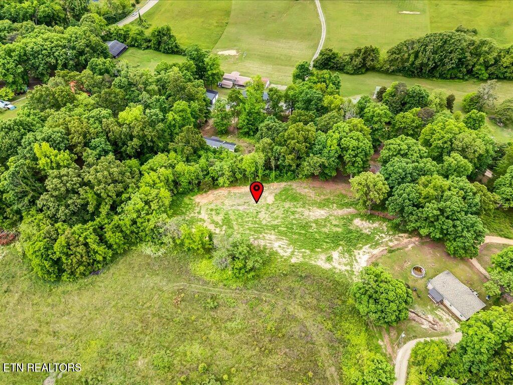 0 Ostrich Lane Property Photo 7
