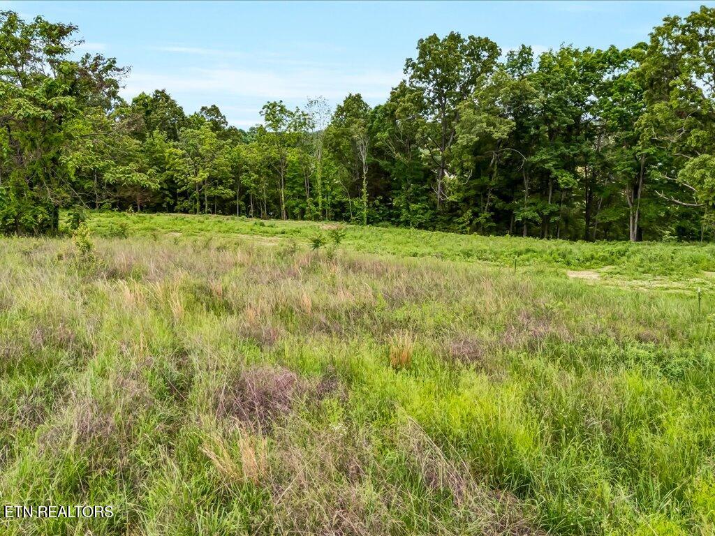 0 Ostrich Lane Property Photo 13