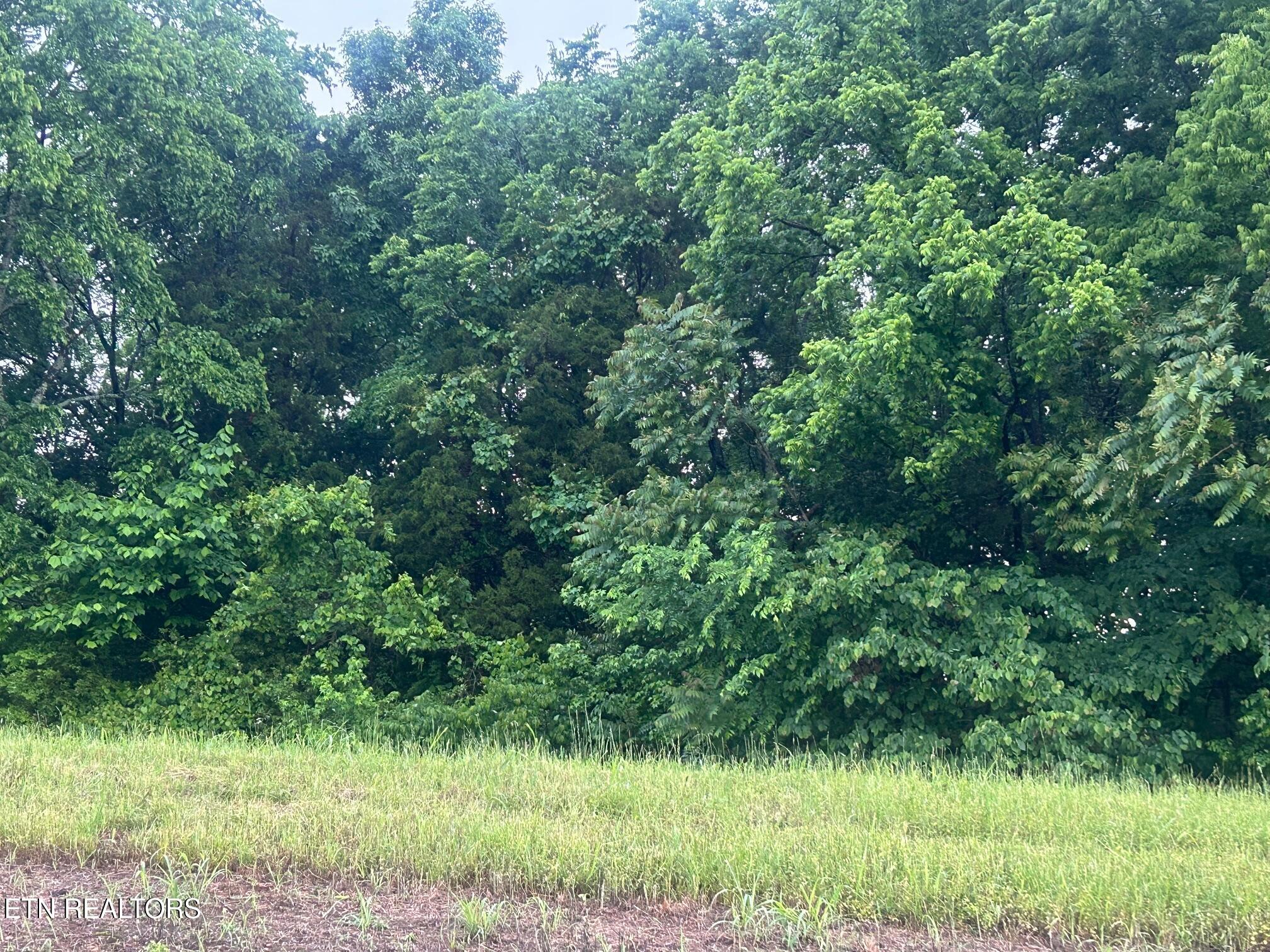 Lot 52 The Gates Drive Property Photo 1