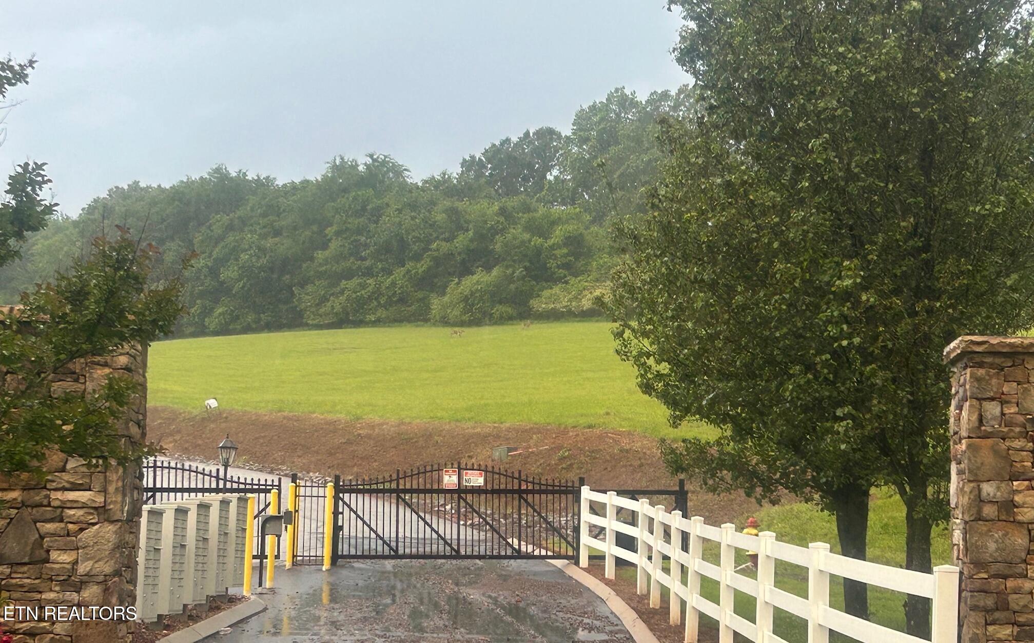 Lot 52 The Gates Drive Property Photo 4