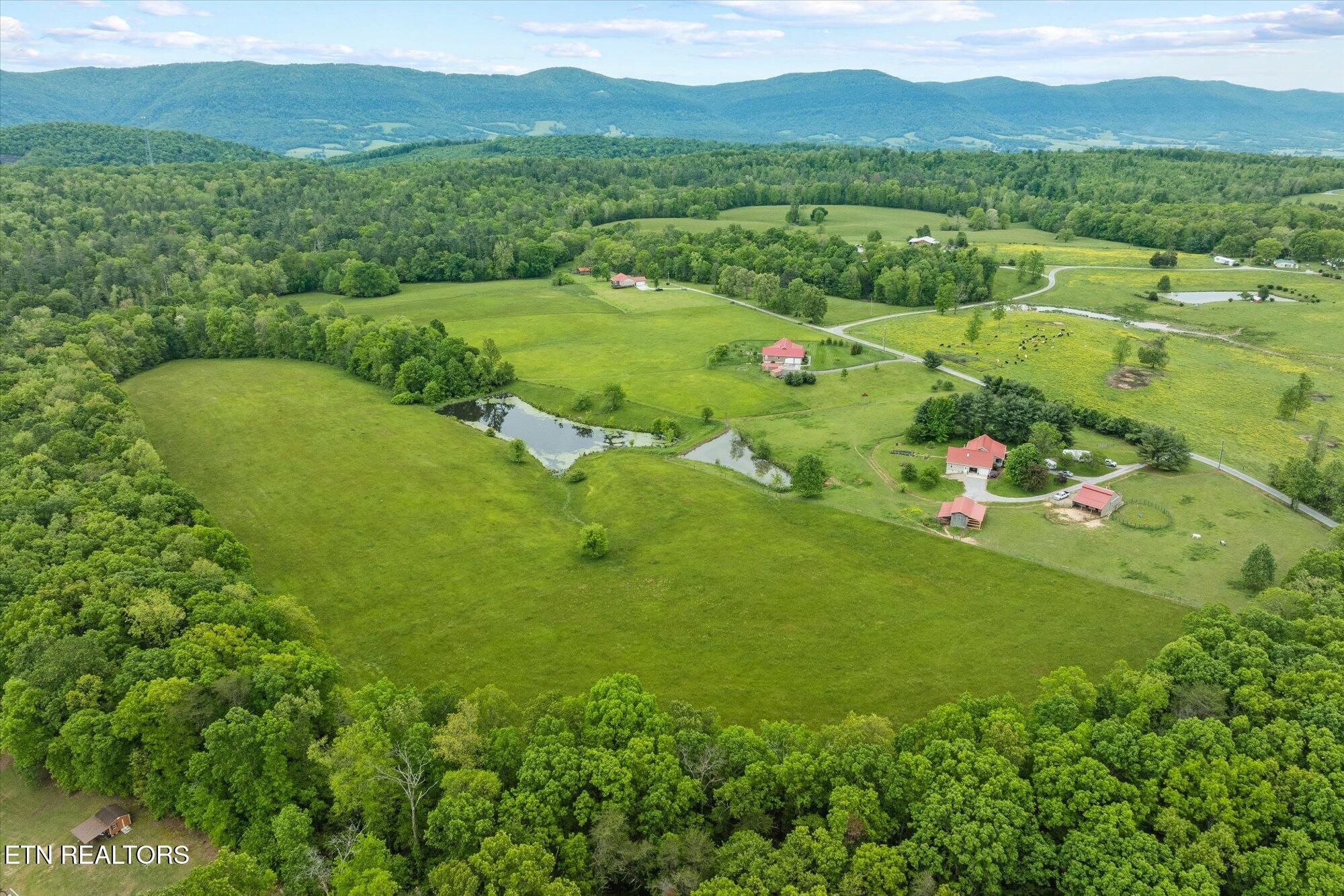 27.33ac Fields Rd Property Photo 6