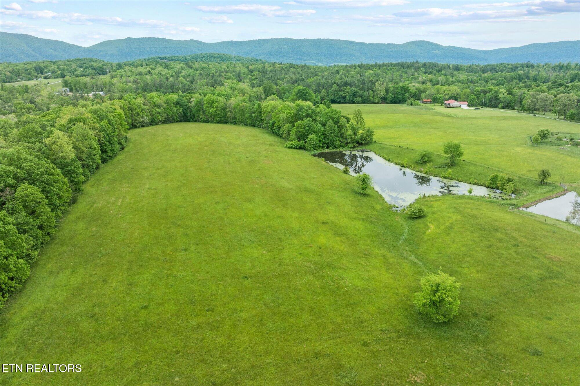 27.33ac Fields Rd Property Photo 9