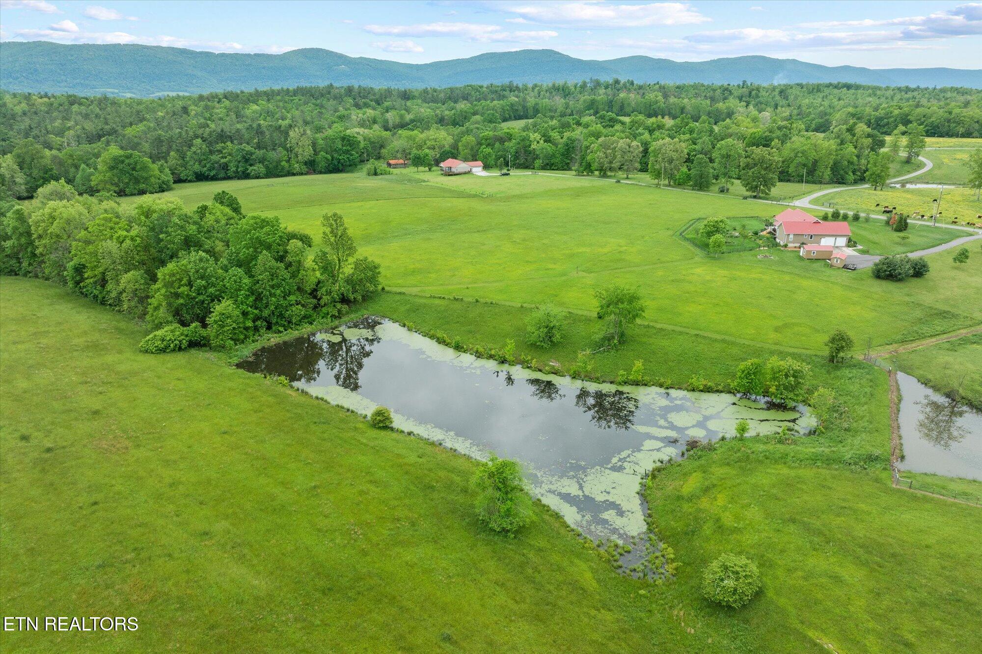 27.33ac Fields Rd Property Photo 10