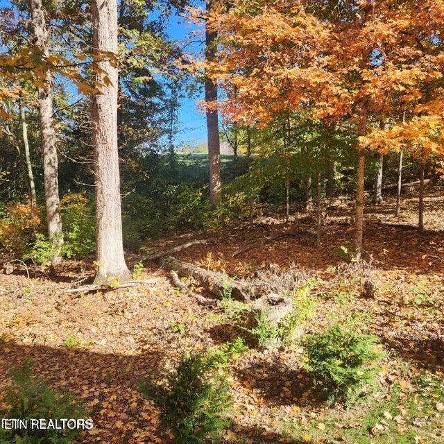 2464 Mountain Drive Property Photo 44