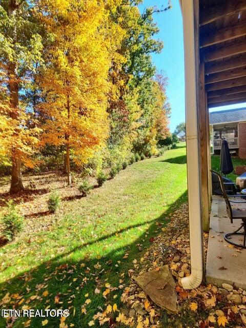 2464 Mountain Drive Property Photo 47