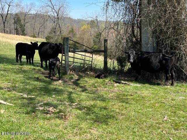 1418 Gulley River Rd Property Photo 53