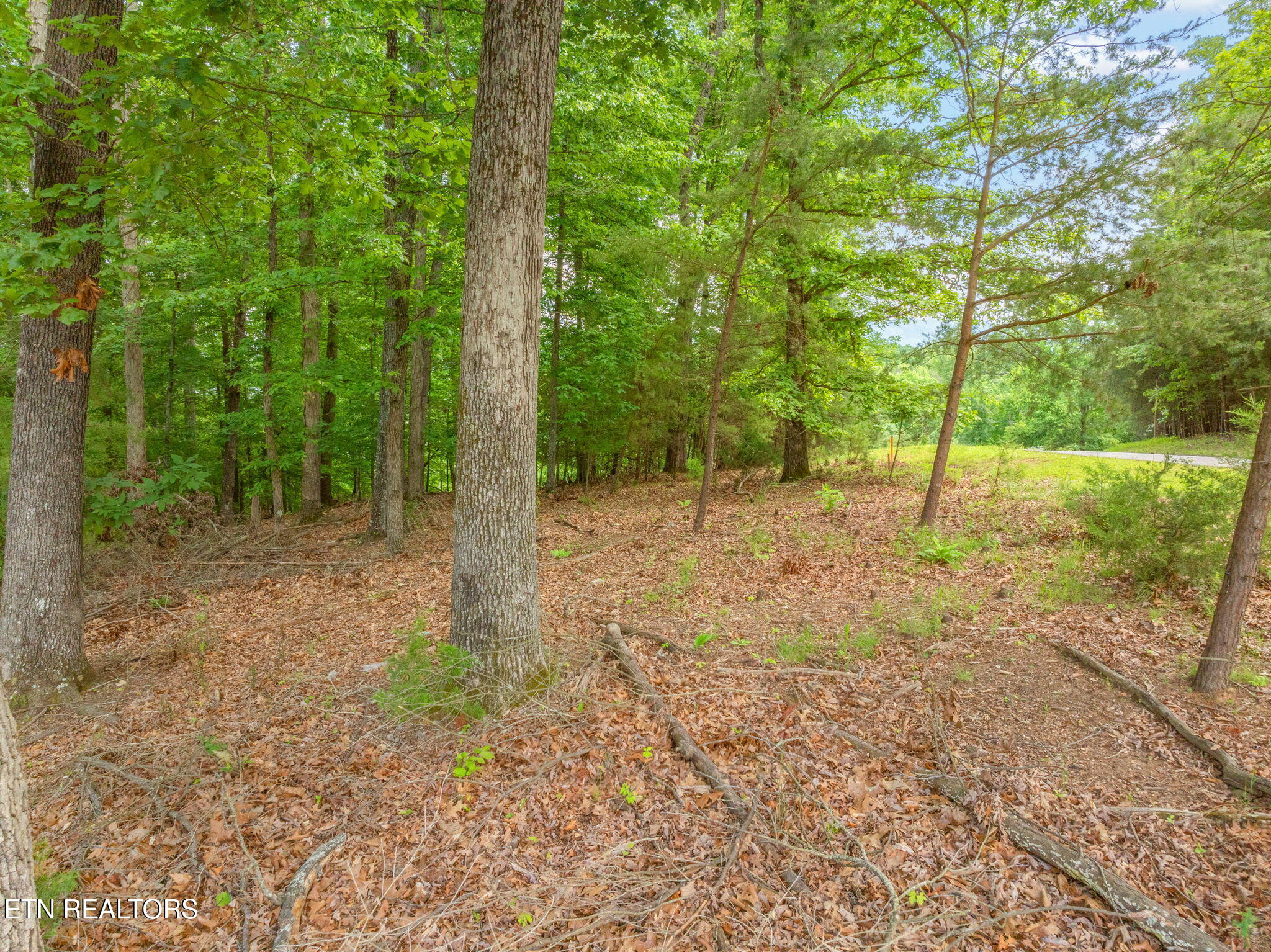 Lot 15 Waterstone Drive Property Photo 6