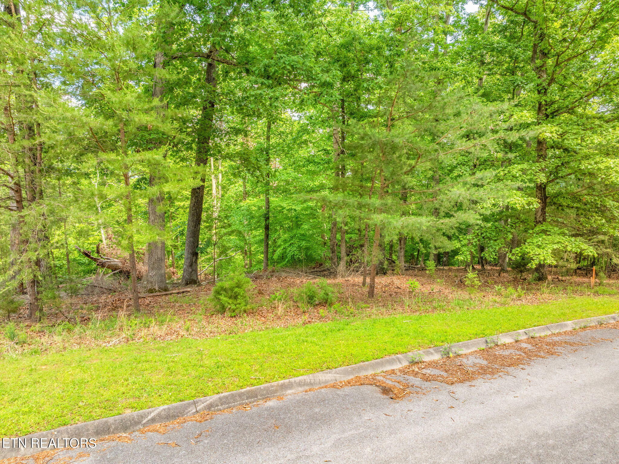 Lot 15 Waterstone Drive Property Photo 8