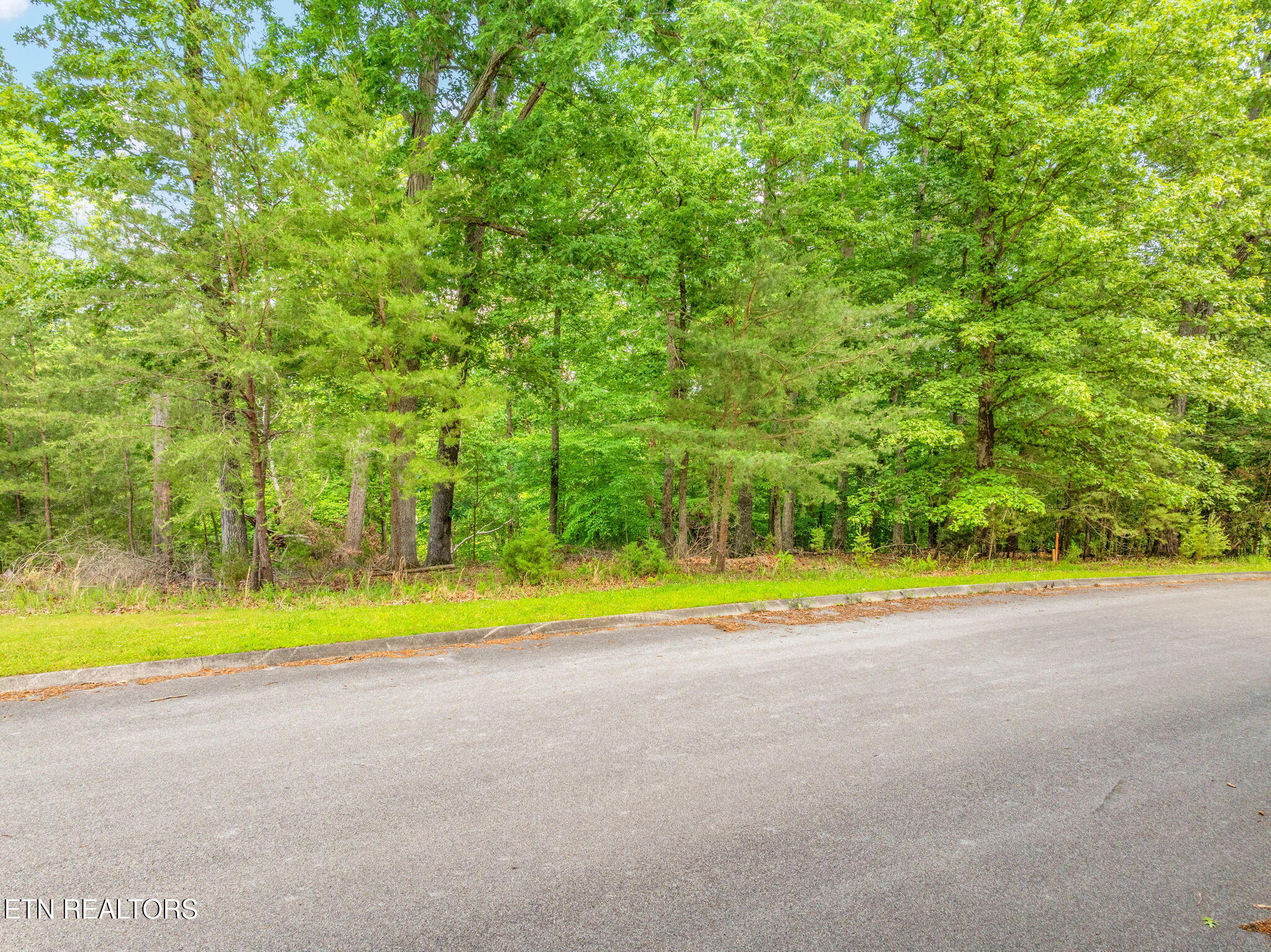 Lot 15 Waterstone Drive Property Photo 18