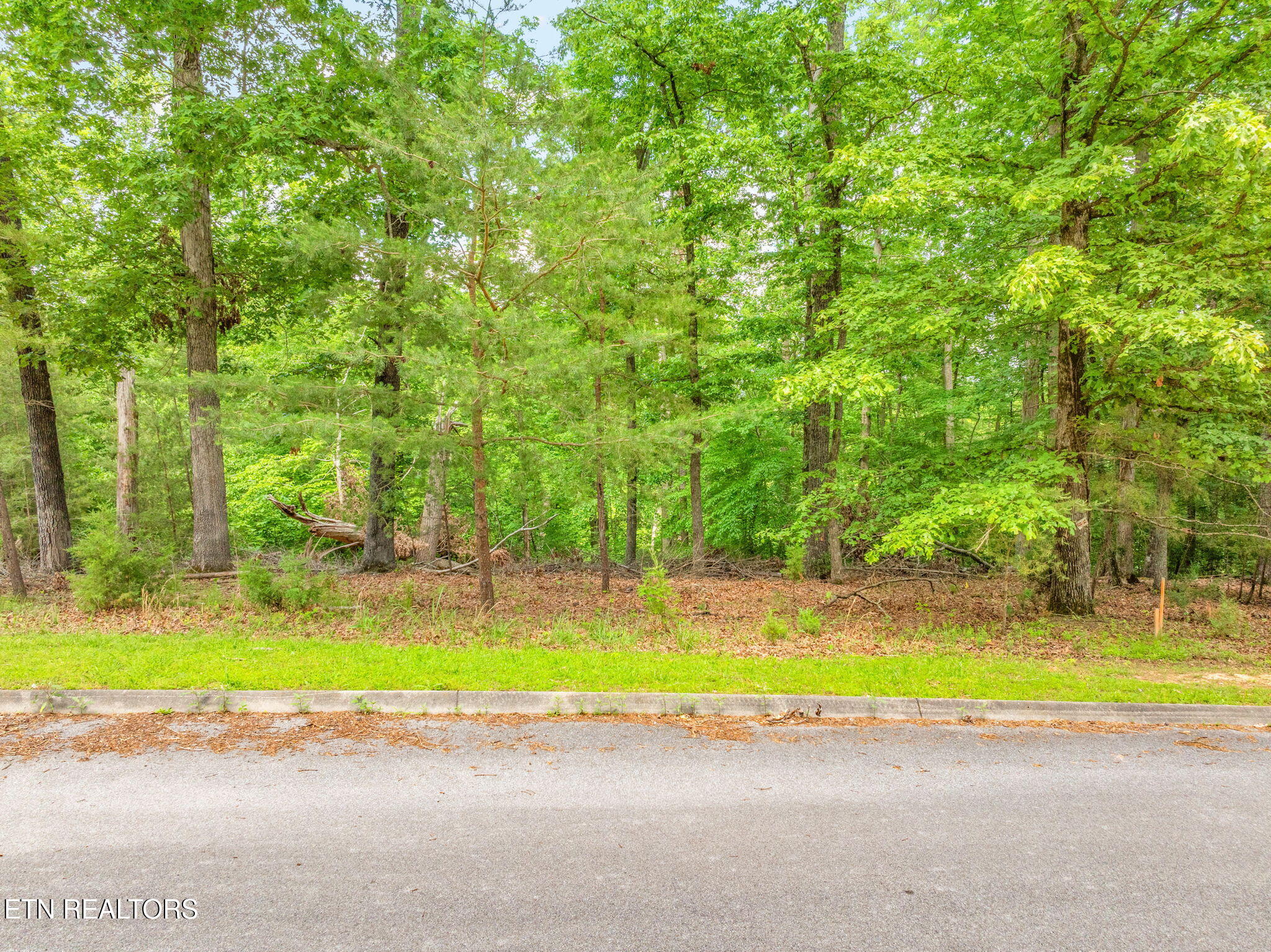 Lot 15 Waterstone Drive Property Photo 19