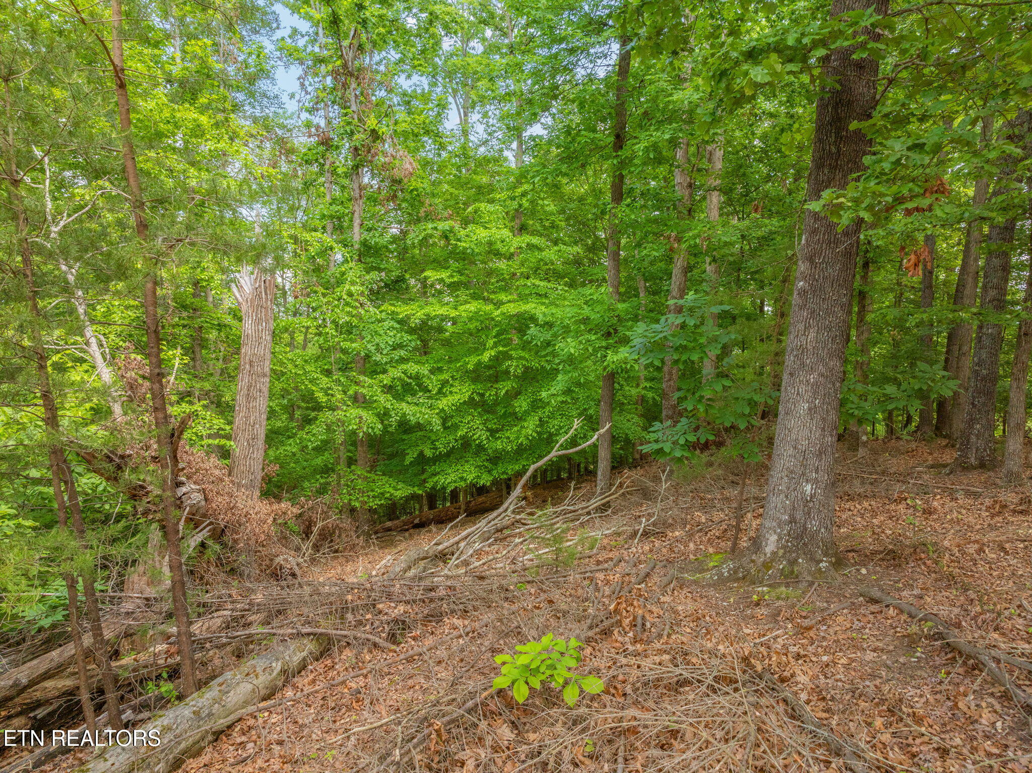 Lot 15 Waterstone Drive Property Photo 20
