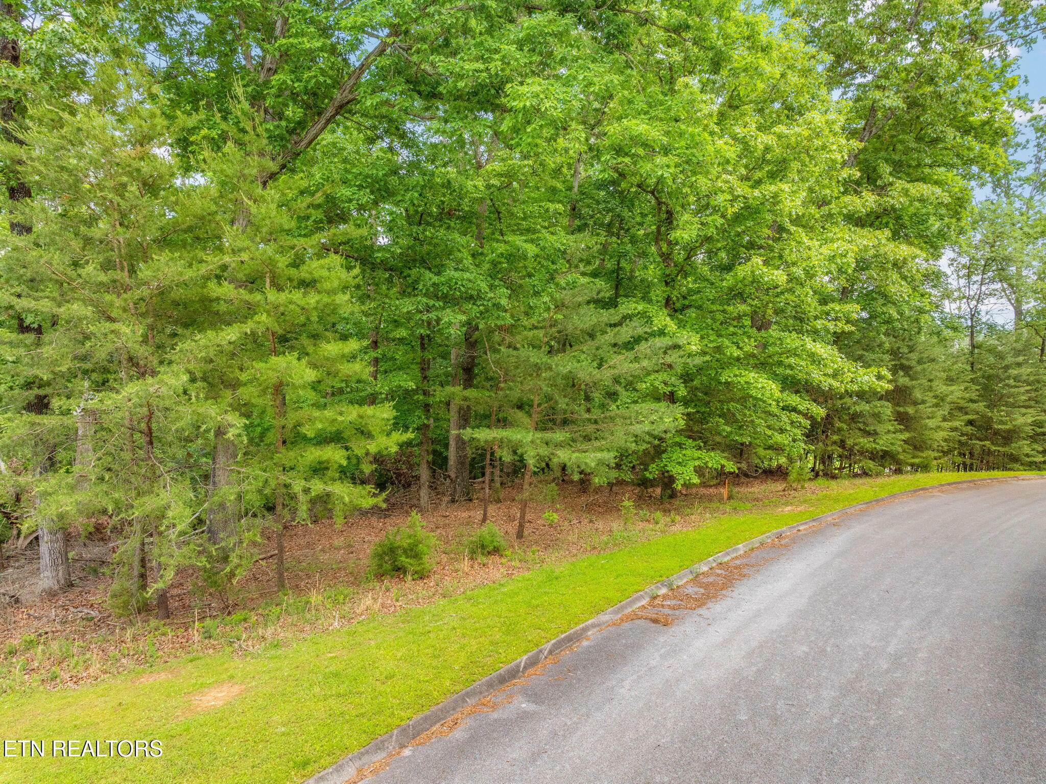 Lot 15 Waterstone Drive Property Photo 21