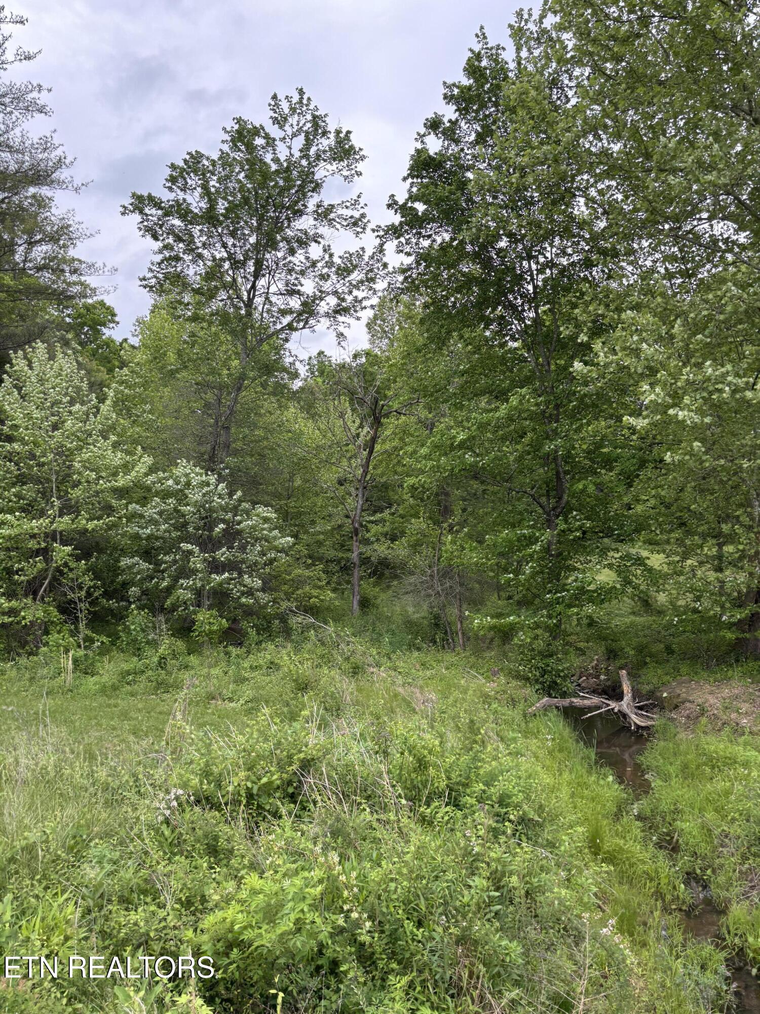 Scott Highway Property Photo 1