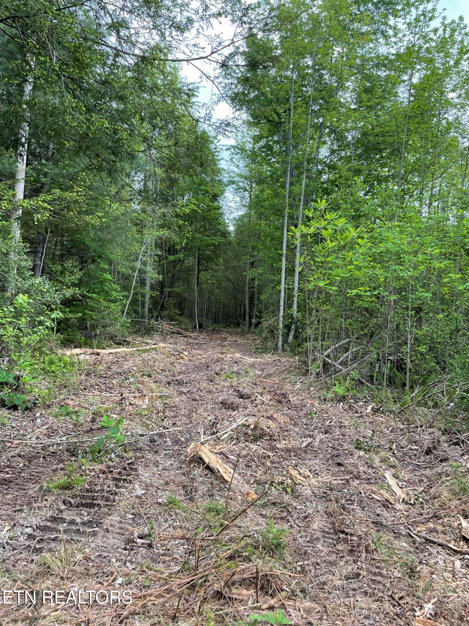 Scott Highway Property Photo 4