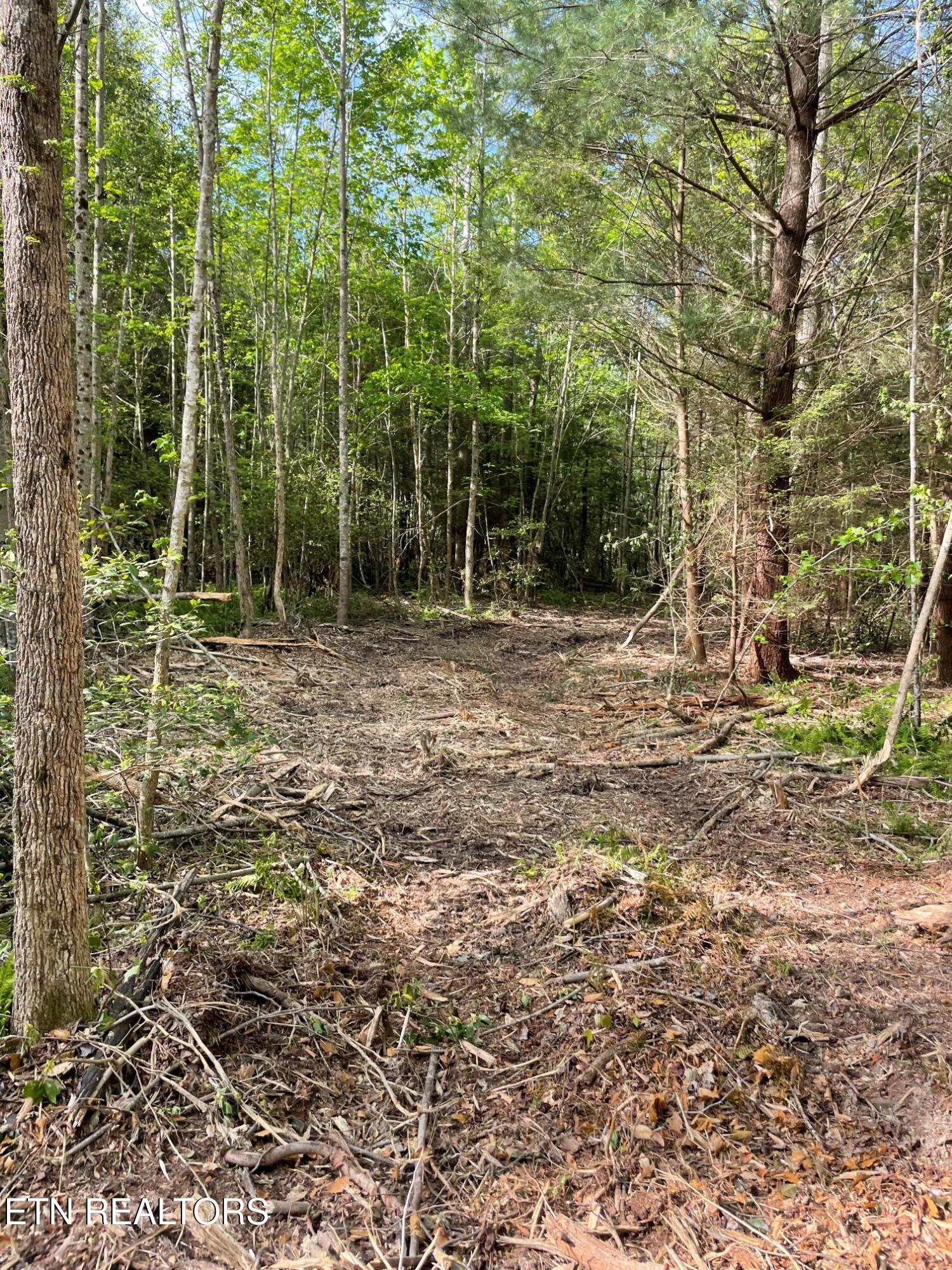 Scott Highway Property Photo 5