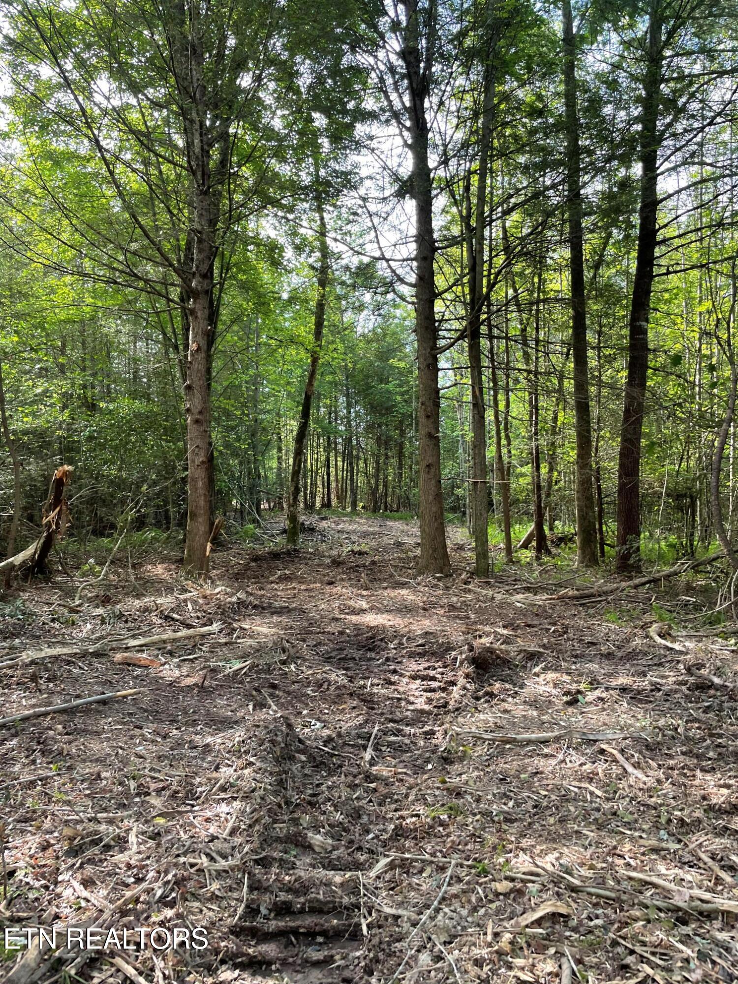 Scott Highway Property Photo 6