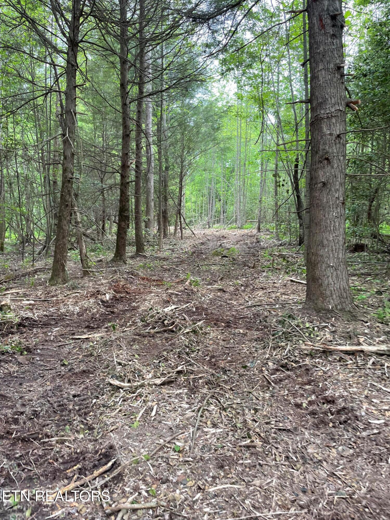 Scott Highway Property Photo 7