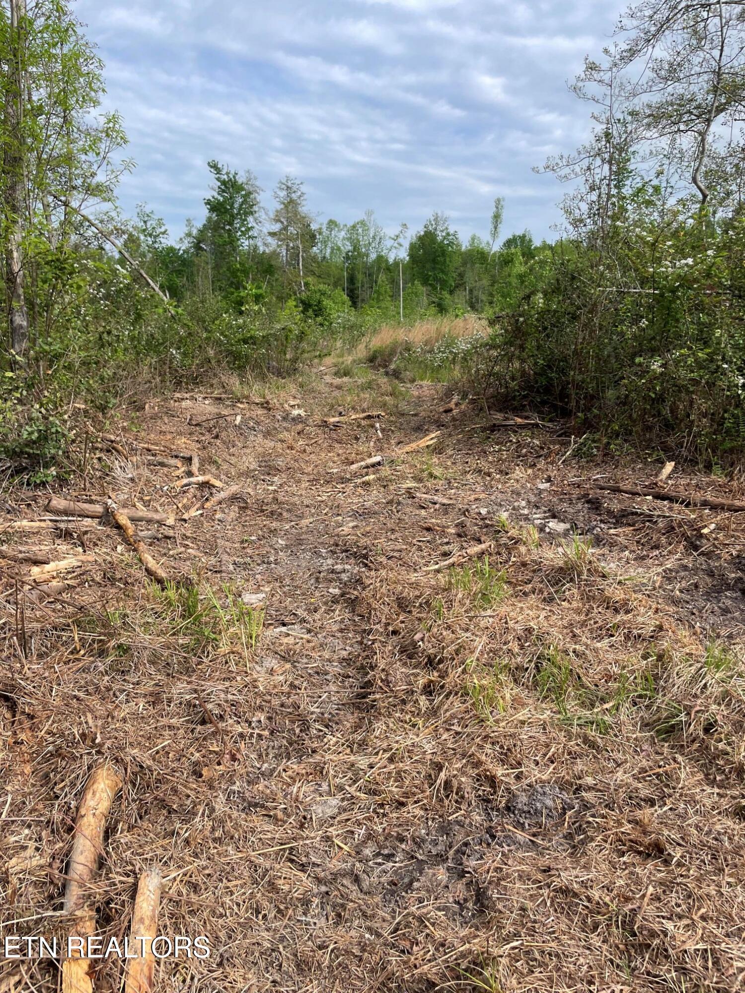 Scott Highway Property Photo 8